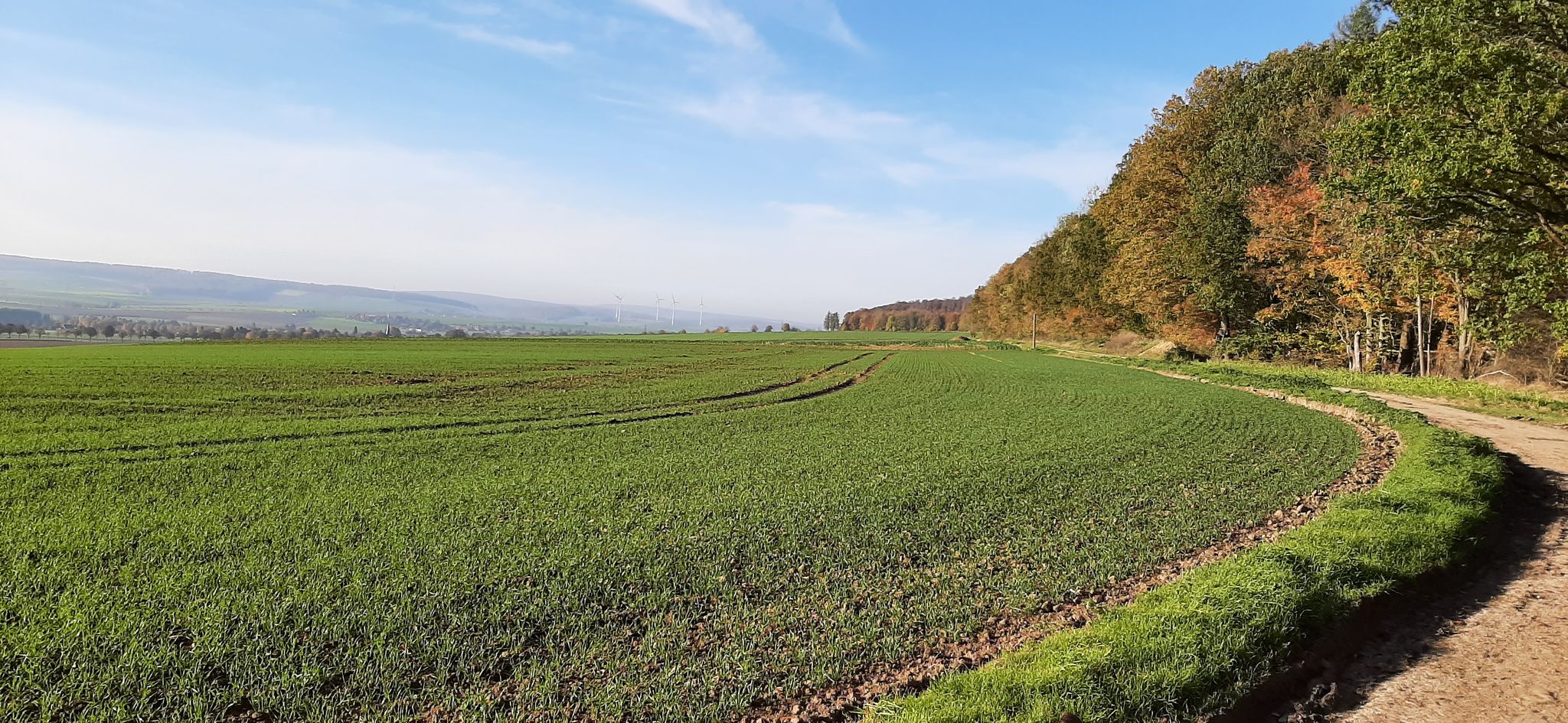 Am Weinberg-Panoramaweg