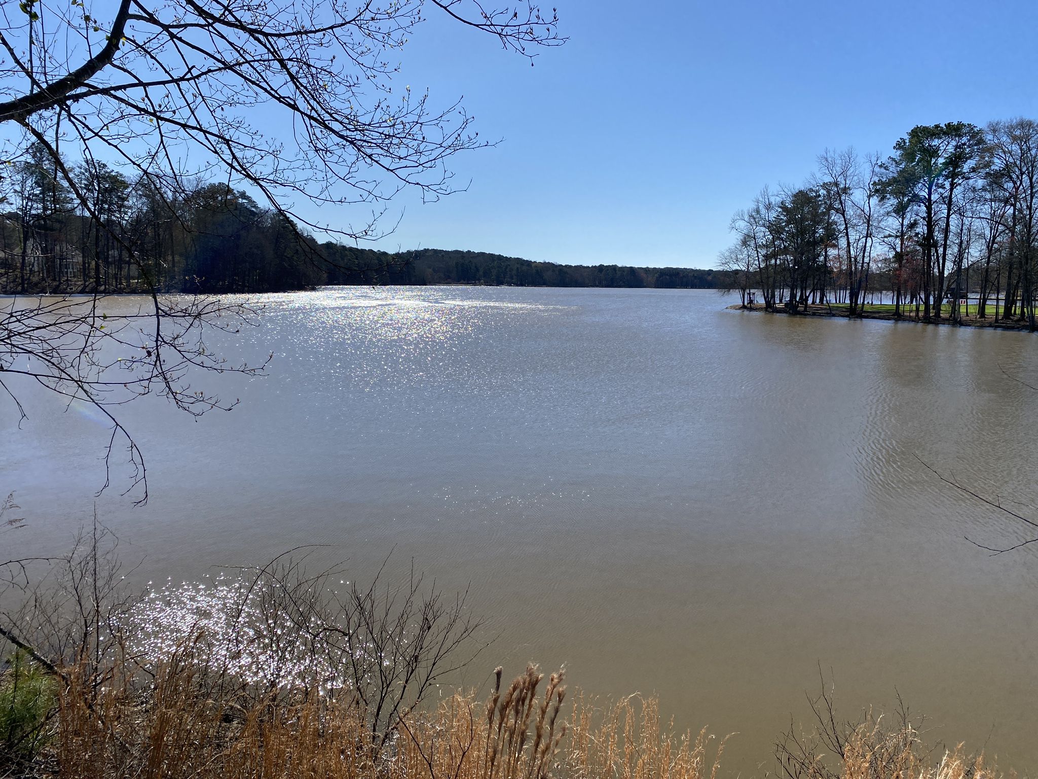 Wide lake with sparkling water under a bright sky, framed by trees. - Peachtree City Paths loop