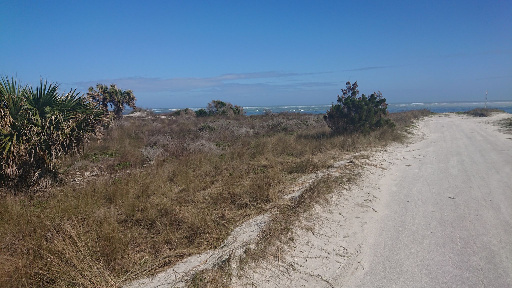 A sandy path next to coastal scrub and ocean under a clear blue sky. - South Beach via Dune Trail