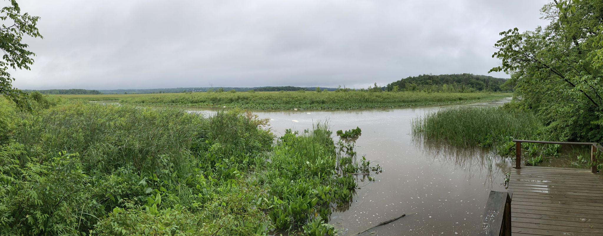 Panoramic view of a wide river and wetlands under an overcast sky. - North Bay, Overlook, & Tivoli Meadow Trail loop