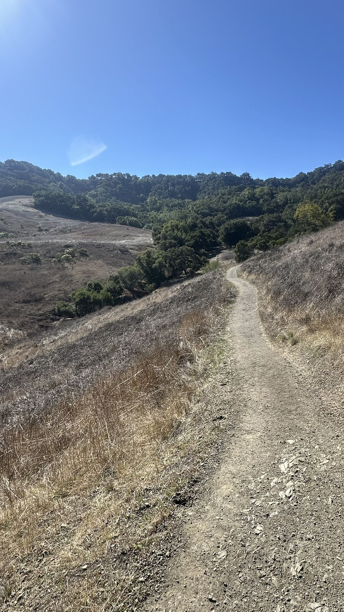 A winding dirt trail ascends through dry hills under a clear blue sky. - Johnson Ranch Loop