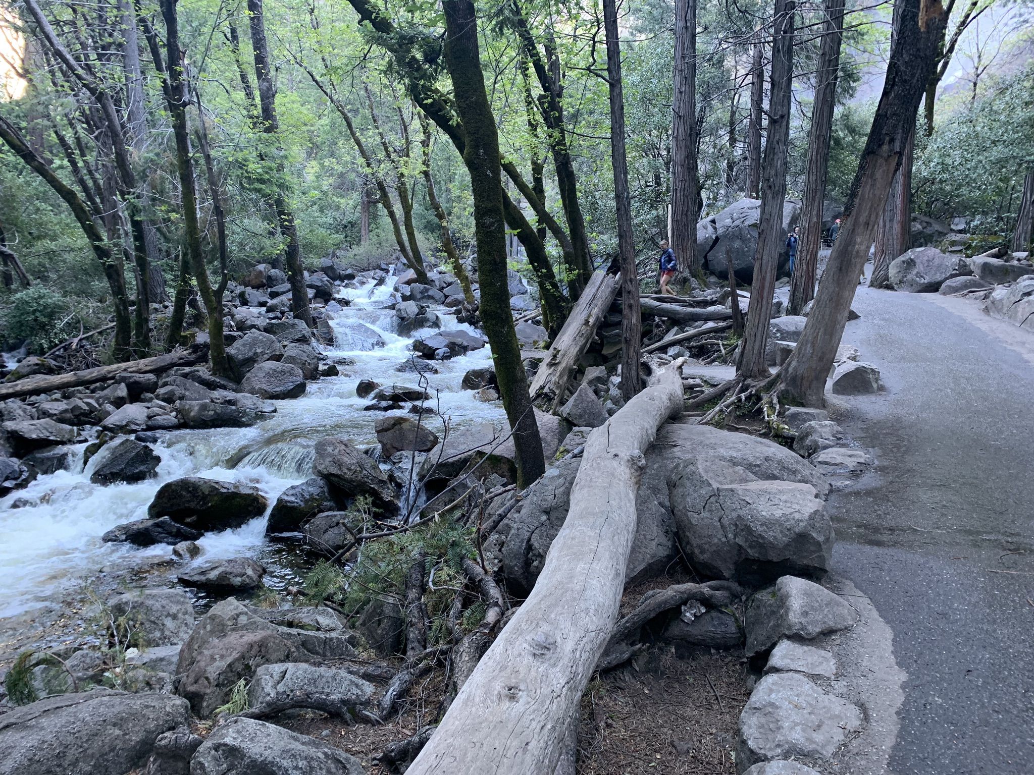 River flowing over rocks through a green forest with a paved path. - Bridalveil Fall Trail