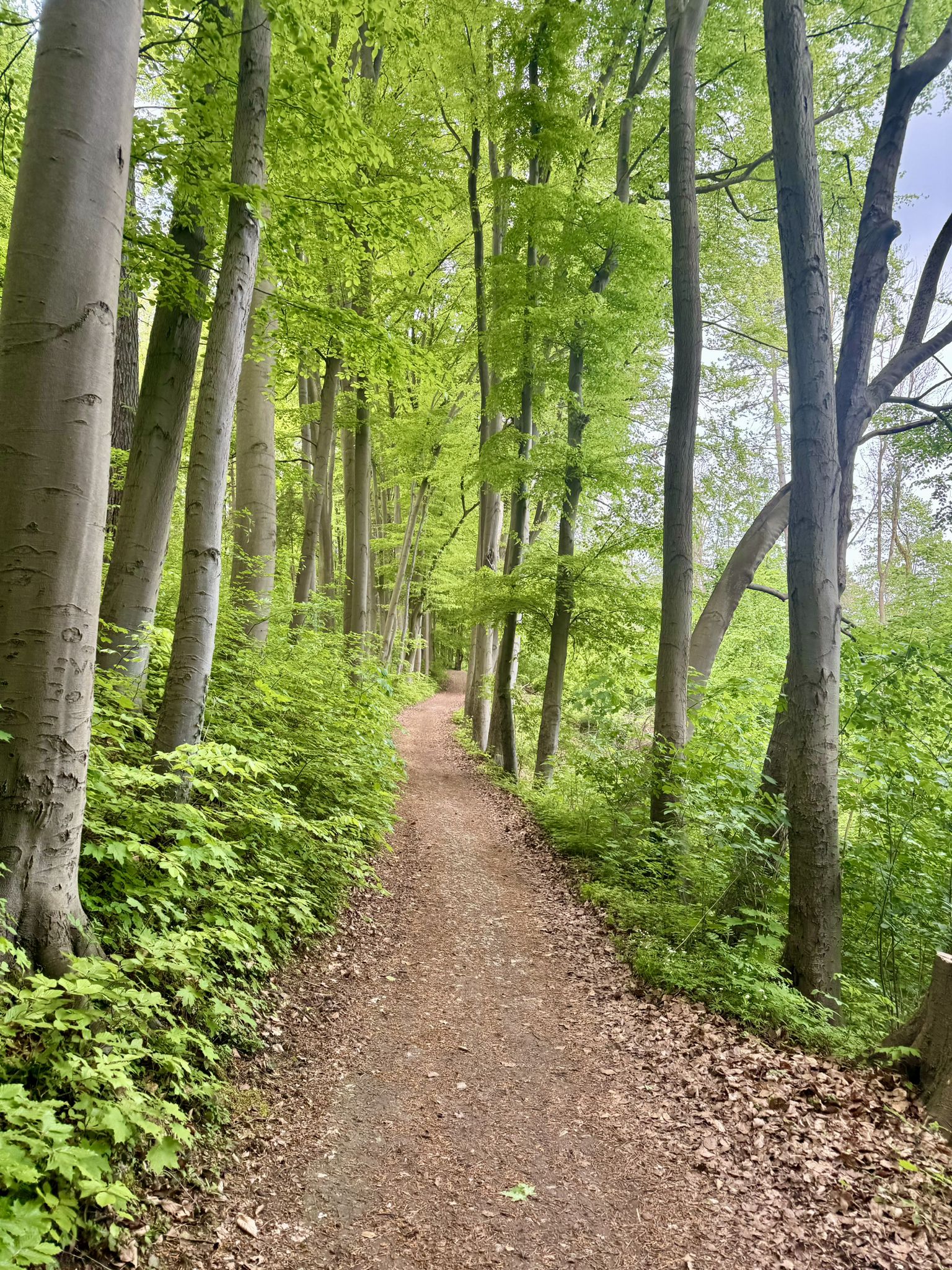 ab ins Grün💚