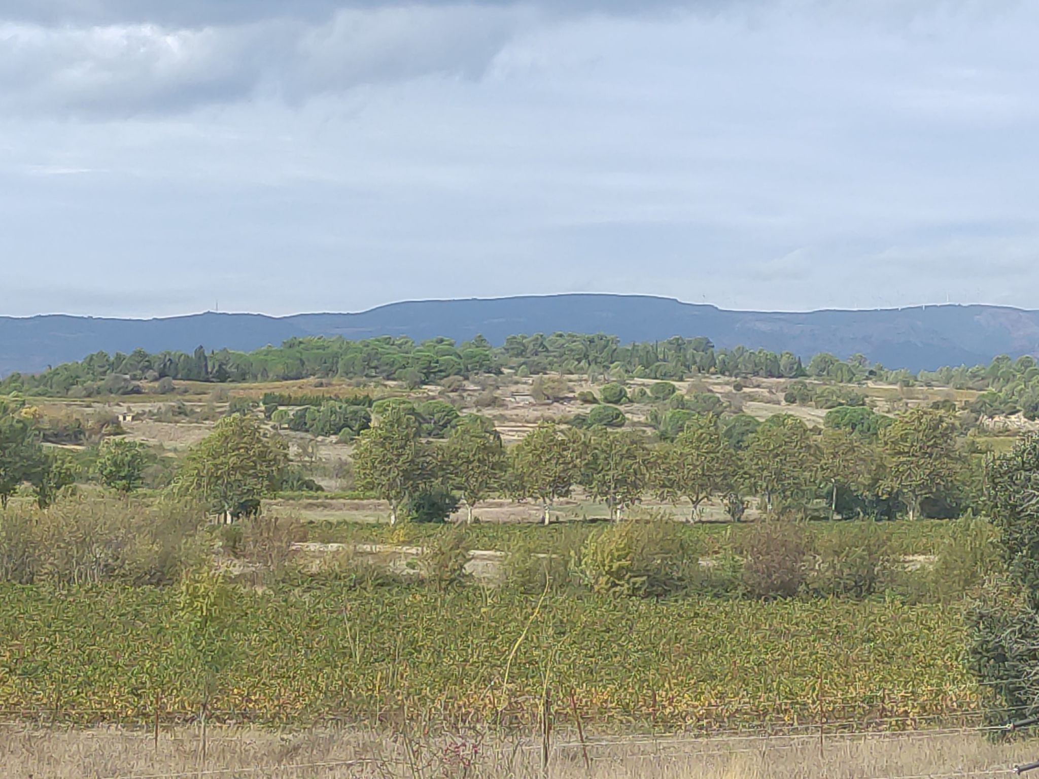 Au loin la Montagne Noire.