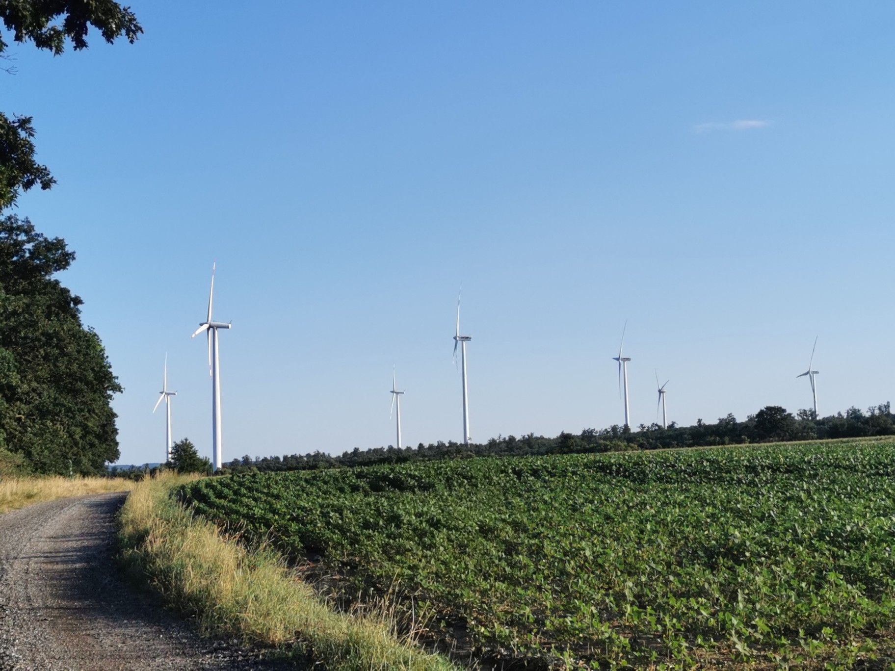 Windräder bei Sigleß