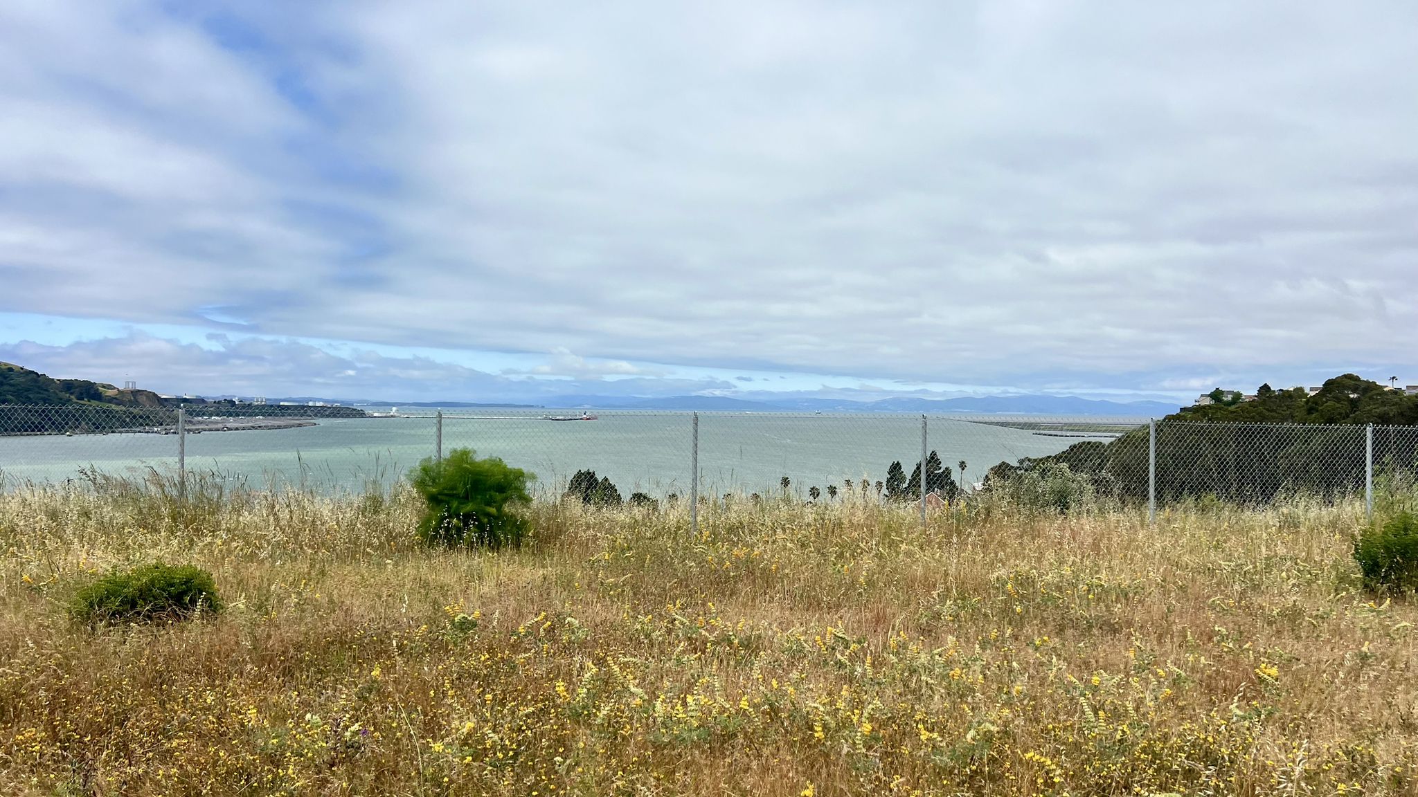 Grassy hillside overlooking a wide body of water under cloudy skies. - Carquinez Strait loop