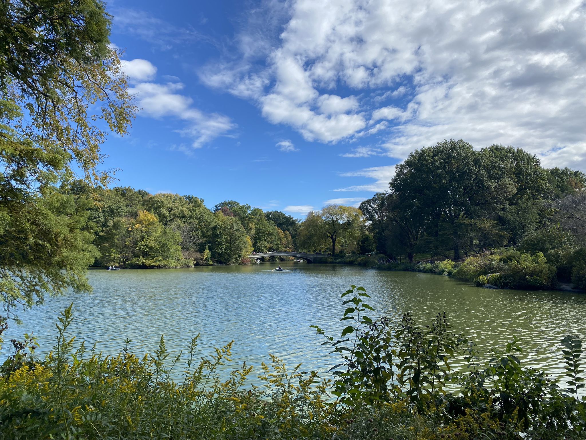 A serene lake surrounded by lush green trees under a bright, cloudy sky. - Palisades Loop