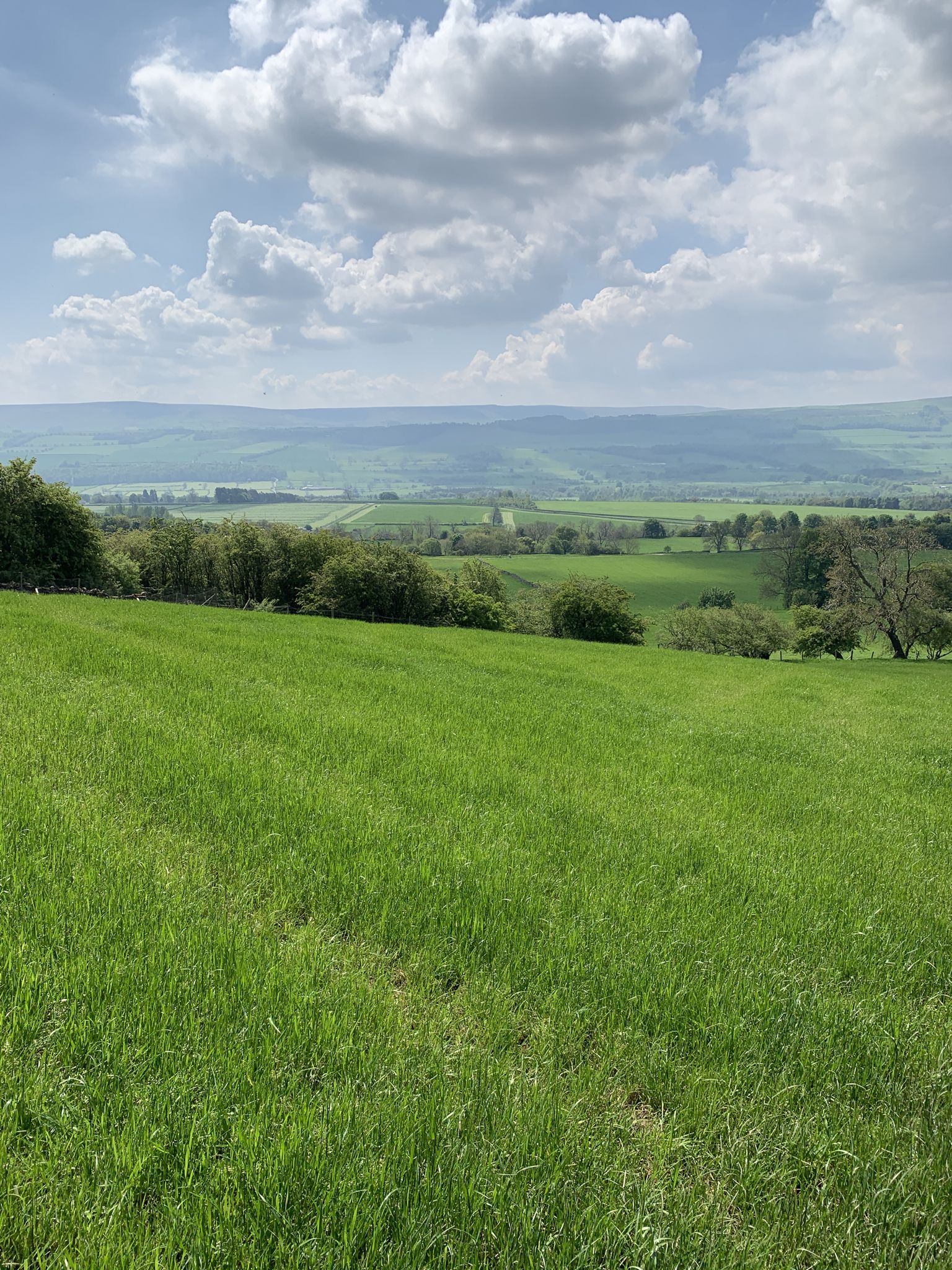 View towards Caldbergh Moor