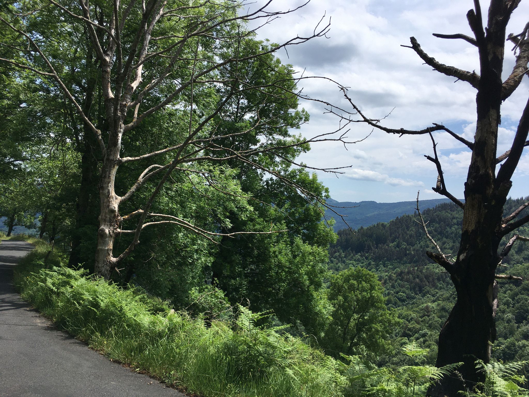 Climb from Dornas to Col de Joux.