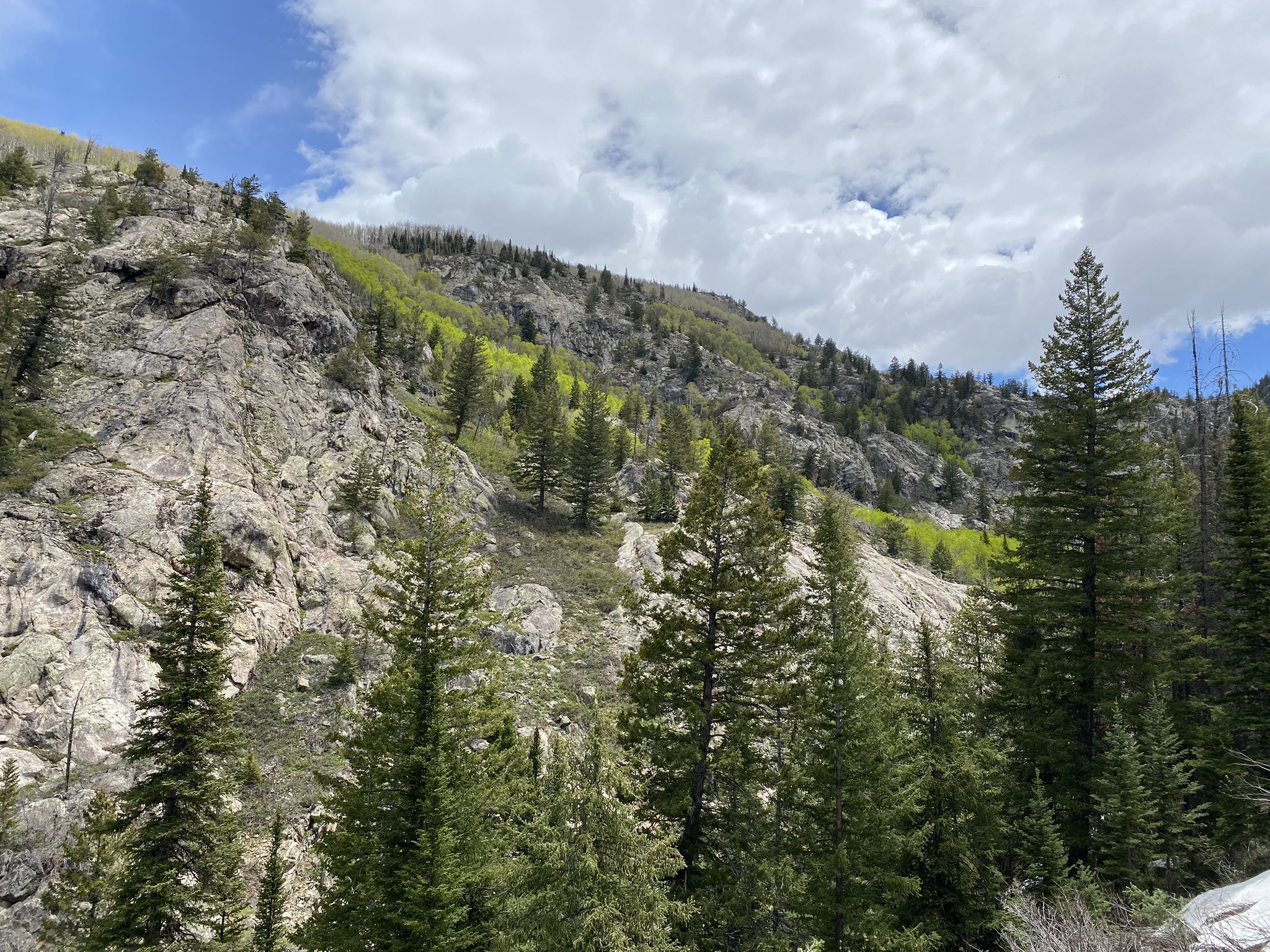 Rocky mountain slope with green trees under a cloudy sky. - Fish Creek Trail