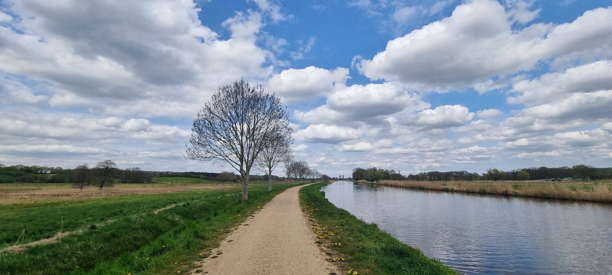 Elbe-Lübeck-Kanal