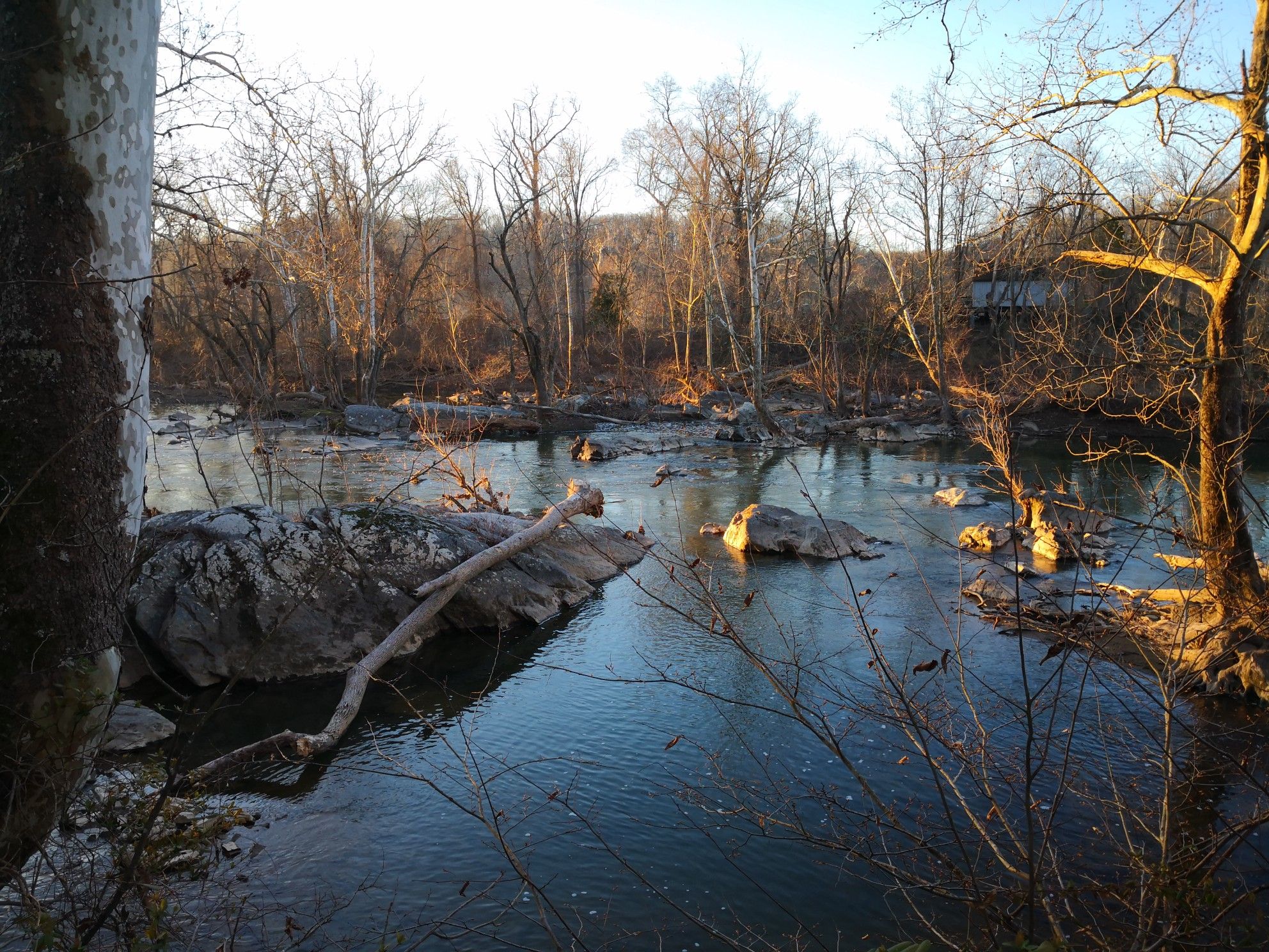 A rocky river flows through bare trees during golden hour. - Sycamore Island – Billy Goat Trail Section C loop from Carderock