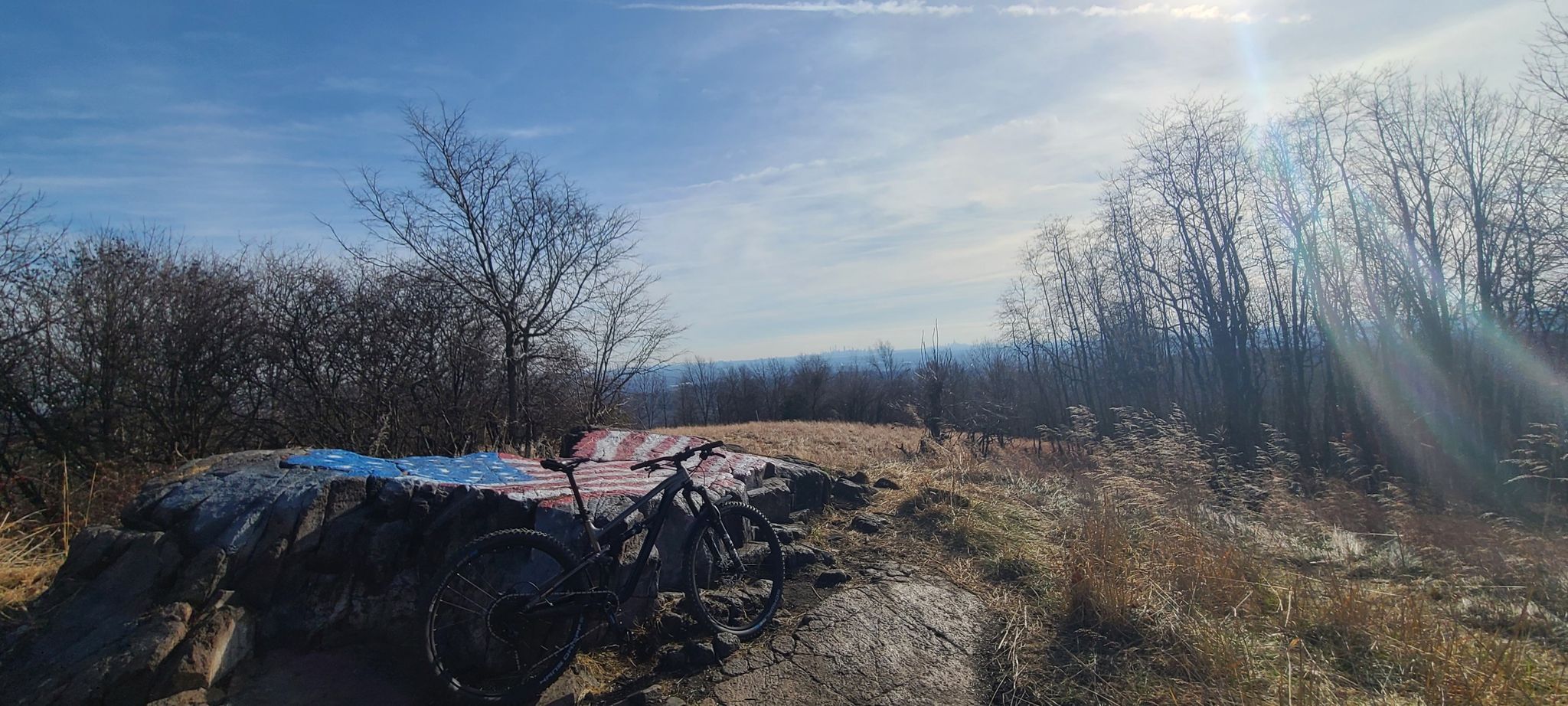 Mountain bike parked on a rock with a flag design, overlooking a sunny, bare forest. - Summit and Woodland Trail Loop
