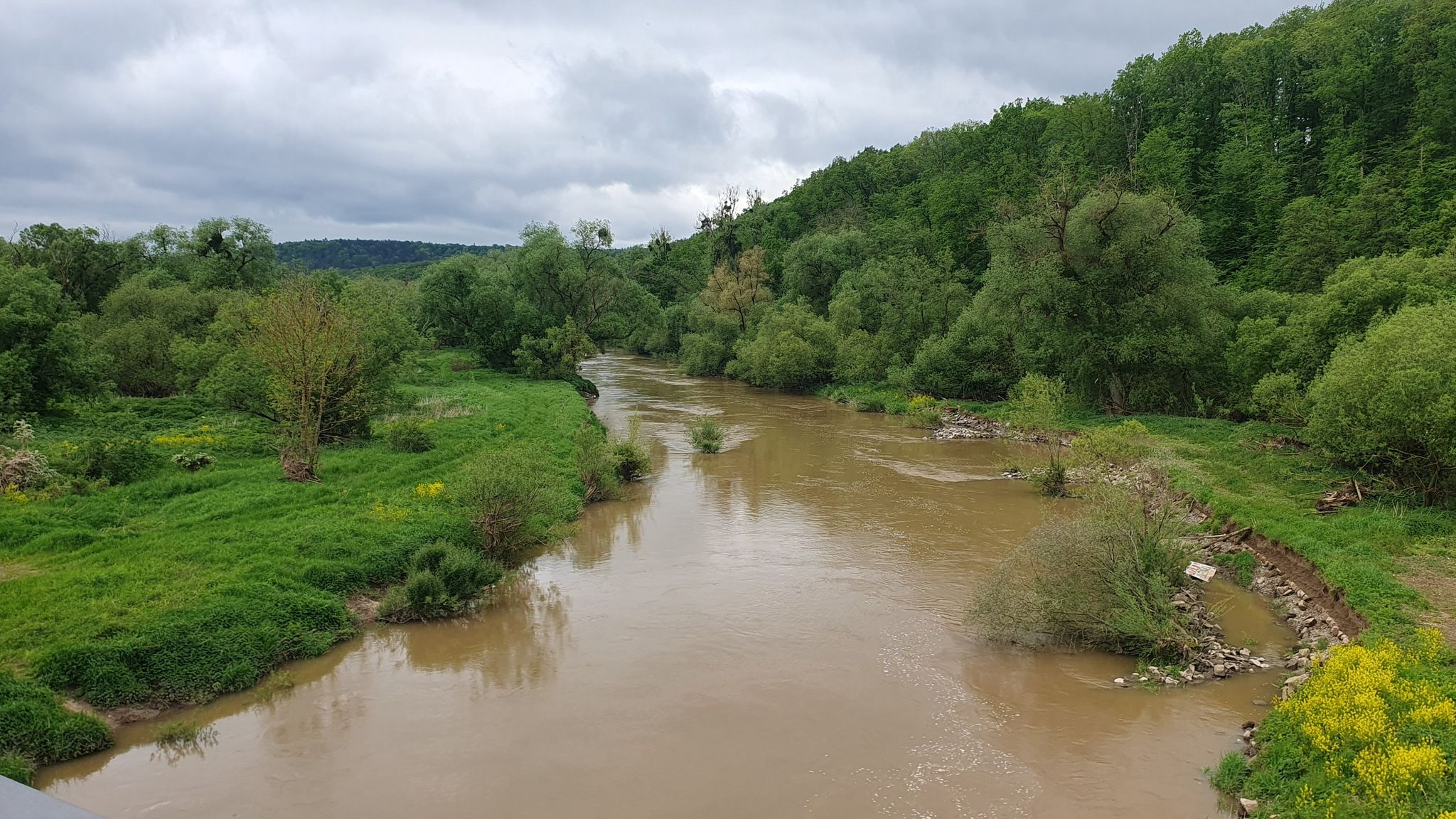 Der Main, reißend und braun vom gestrigen Unwetter