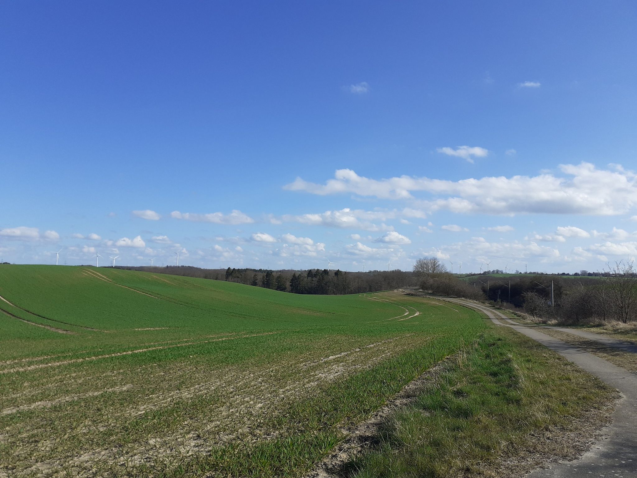 Weitblick