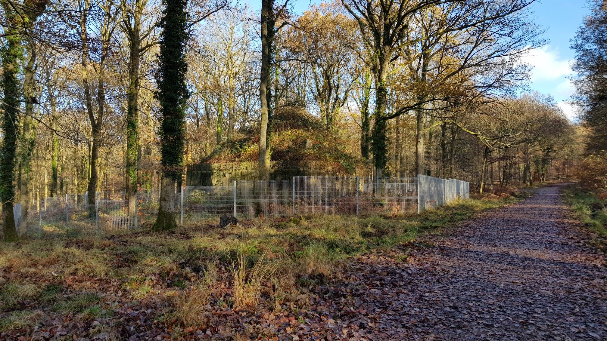 hill 33
