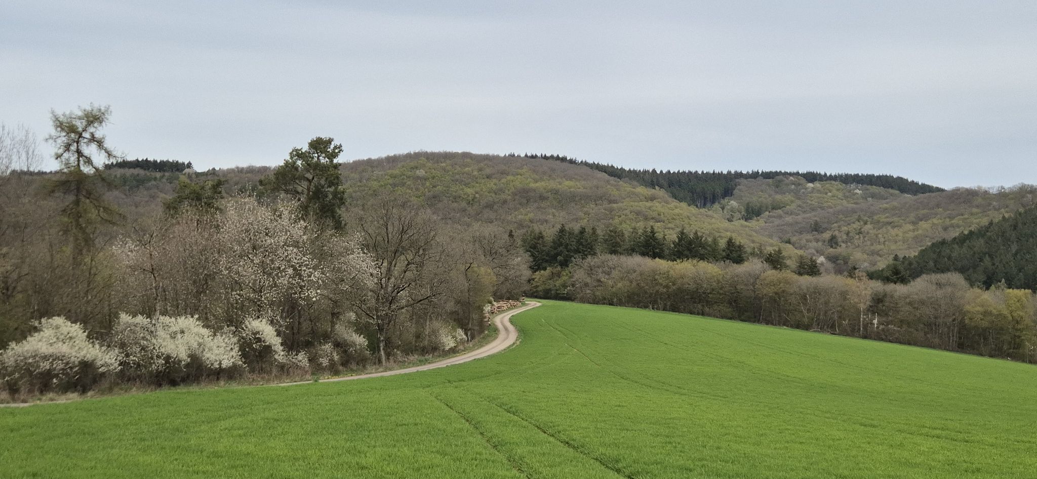Hunsrück-Impressionen