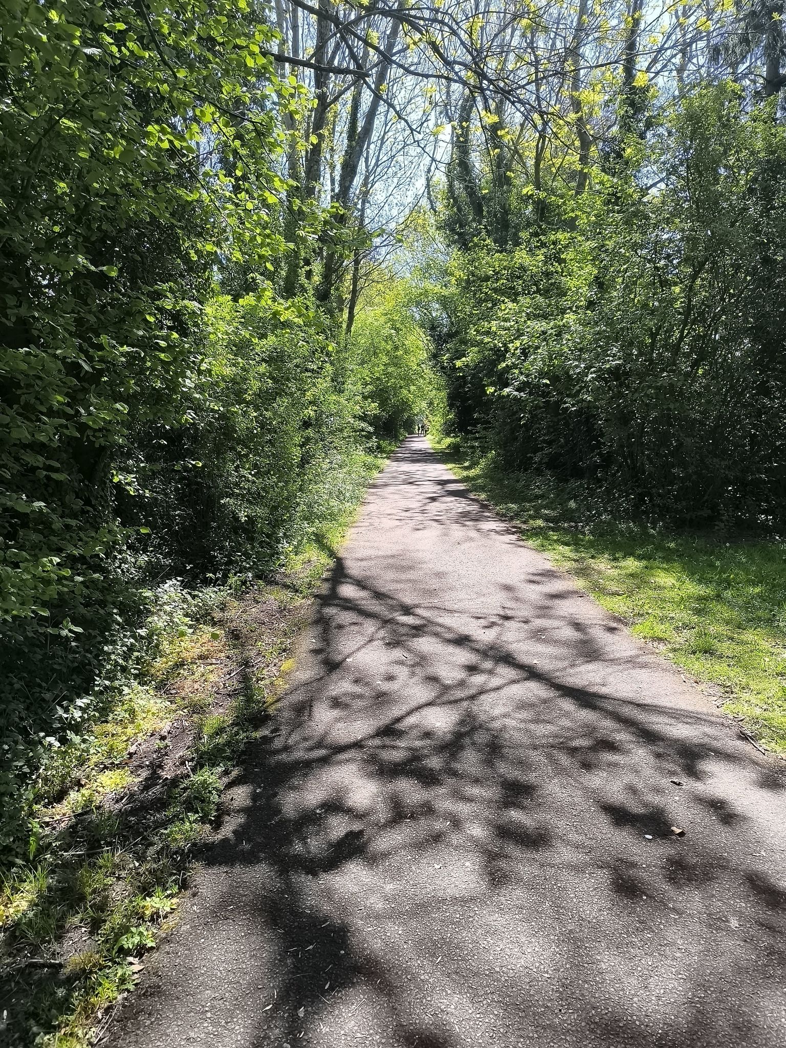 Adeps Courcelles04