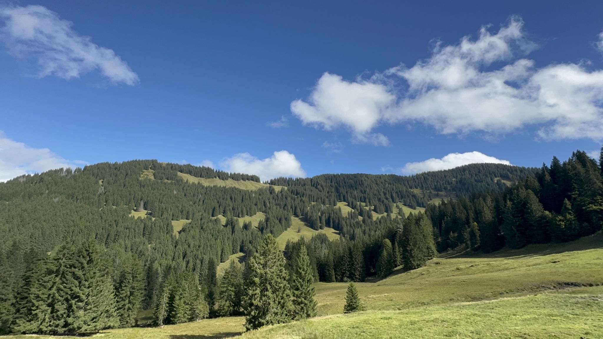Rangiswanger Horn