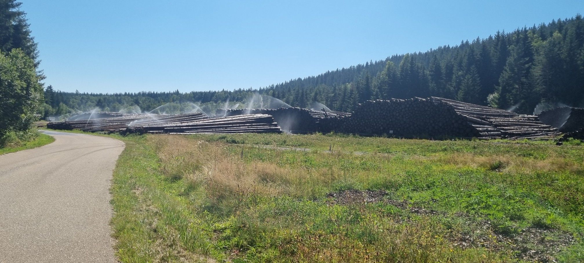 Holzbewässerung am Bähnleradweg