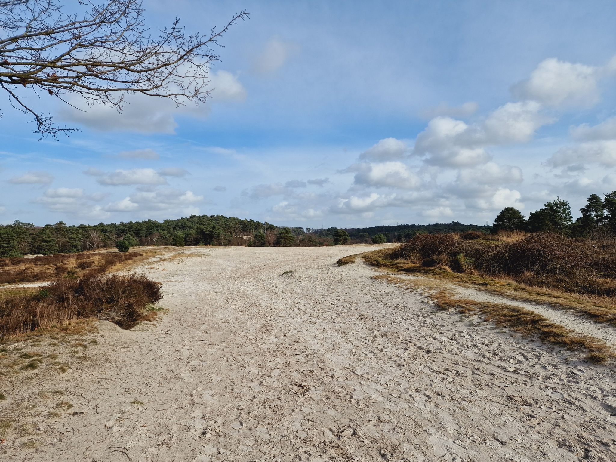 Wieder am Sand vor dem Roode Beek...