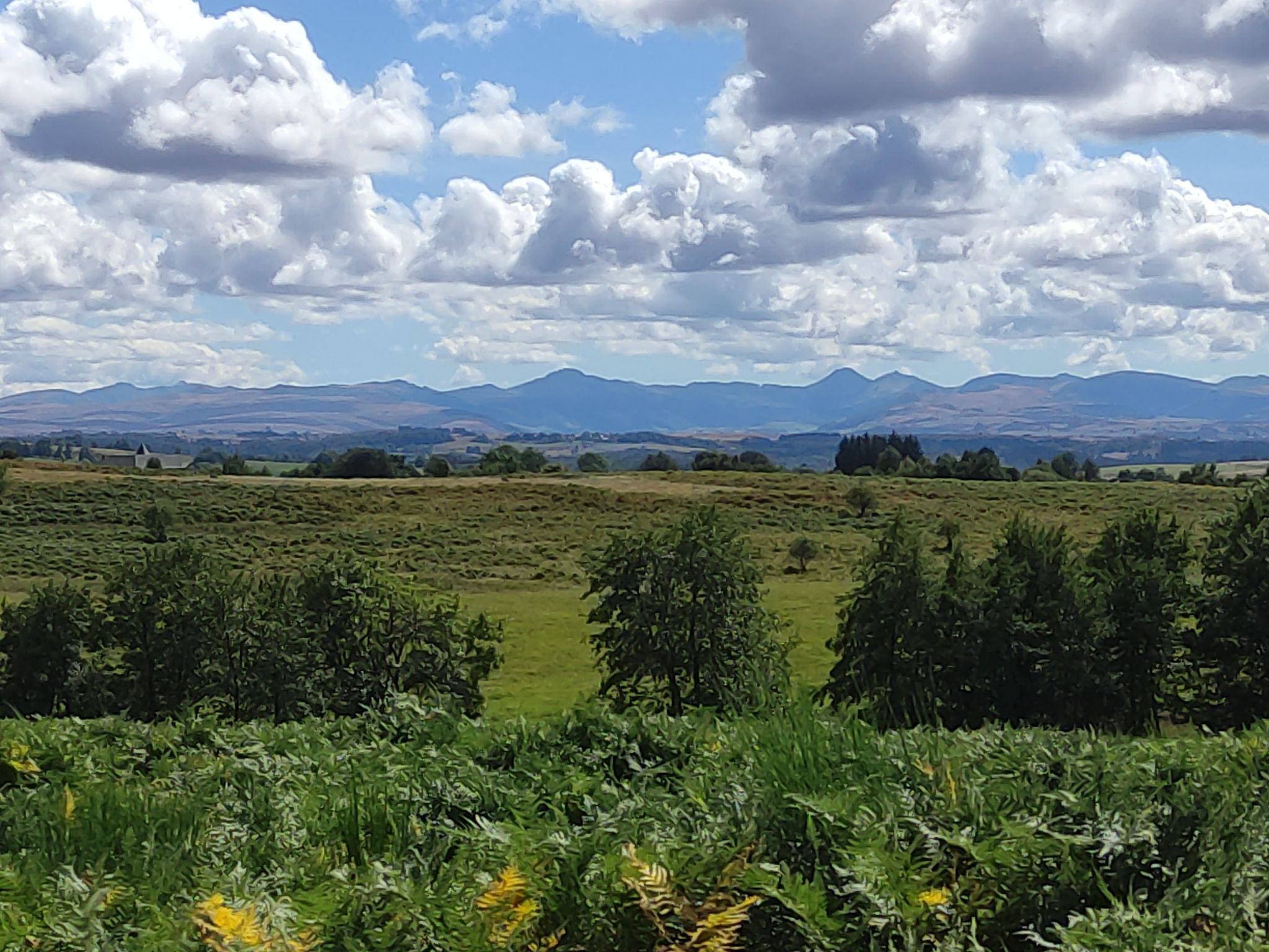 Au loin le Puy de Sancy