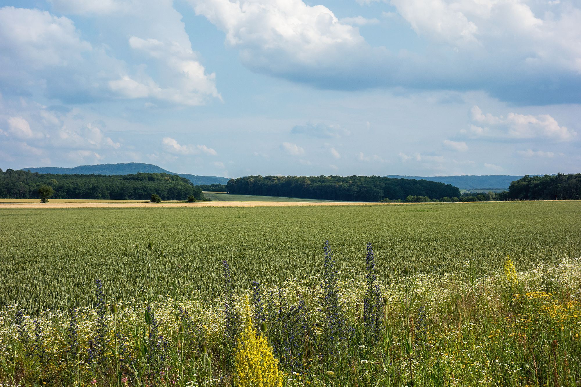 Südlich des Mains herrscht eitler Sonnenschein