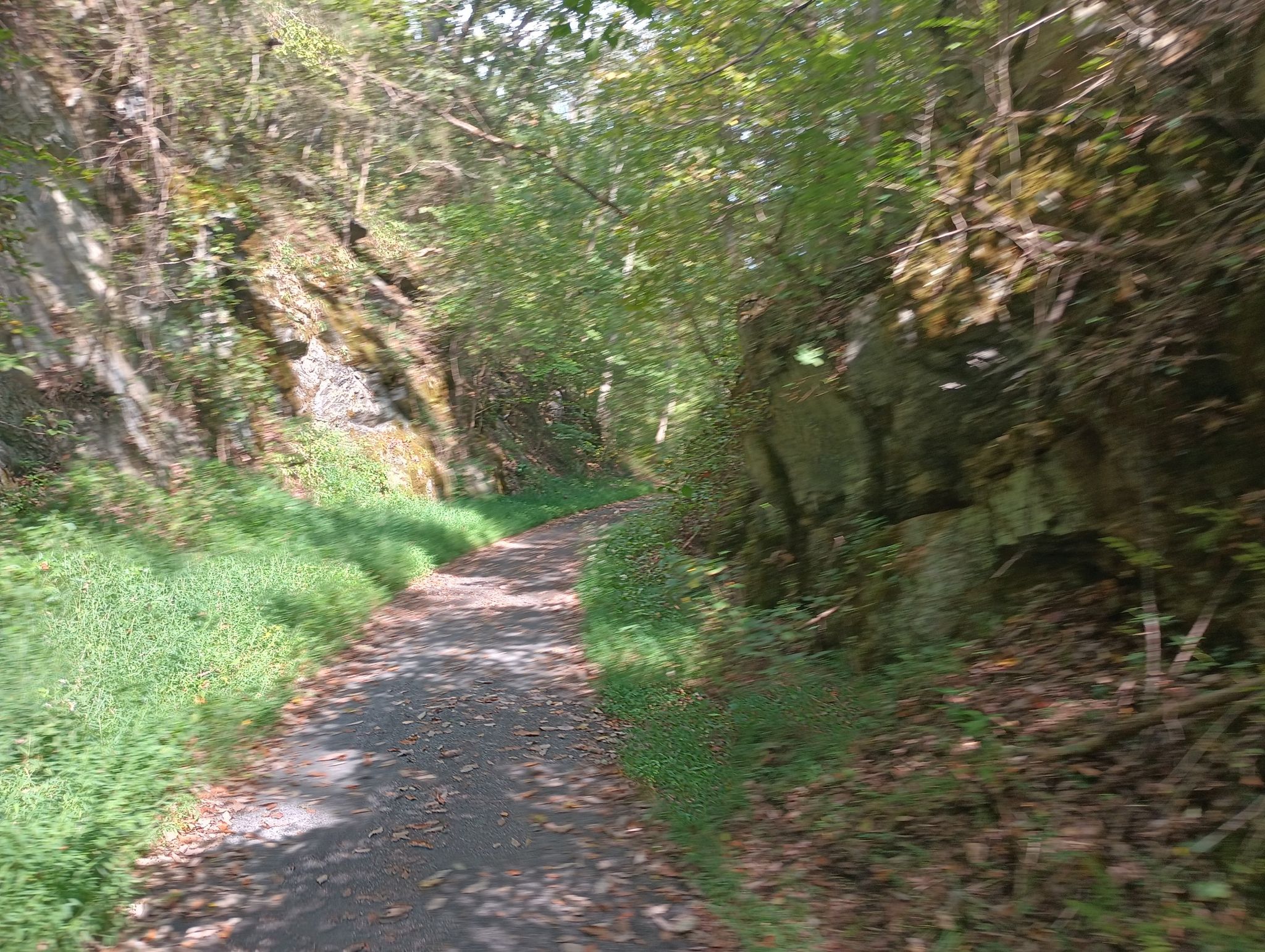 A shaded dirt path winds between rocky walls covered in green foliage. - Virginia Creeper Trail