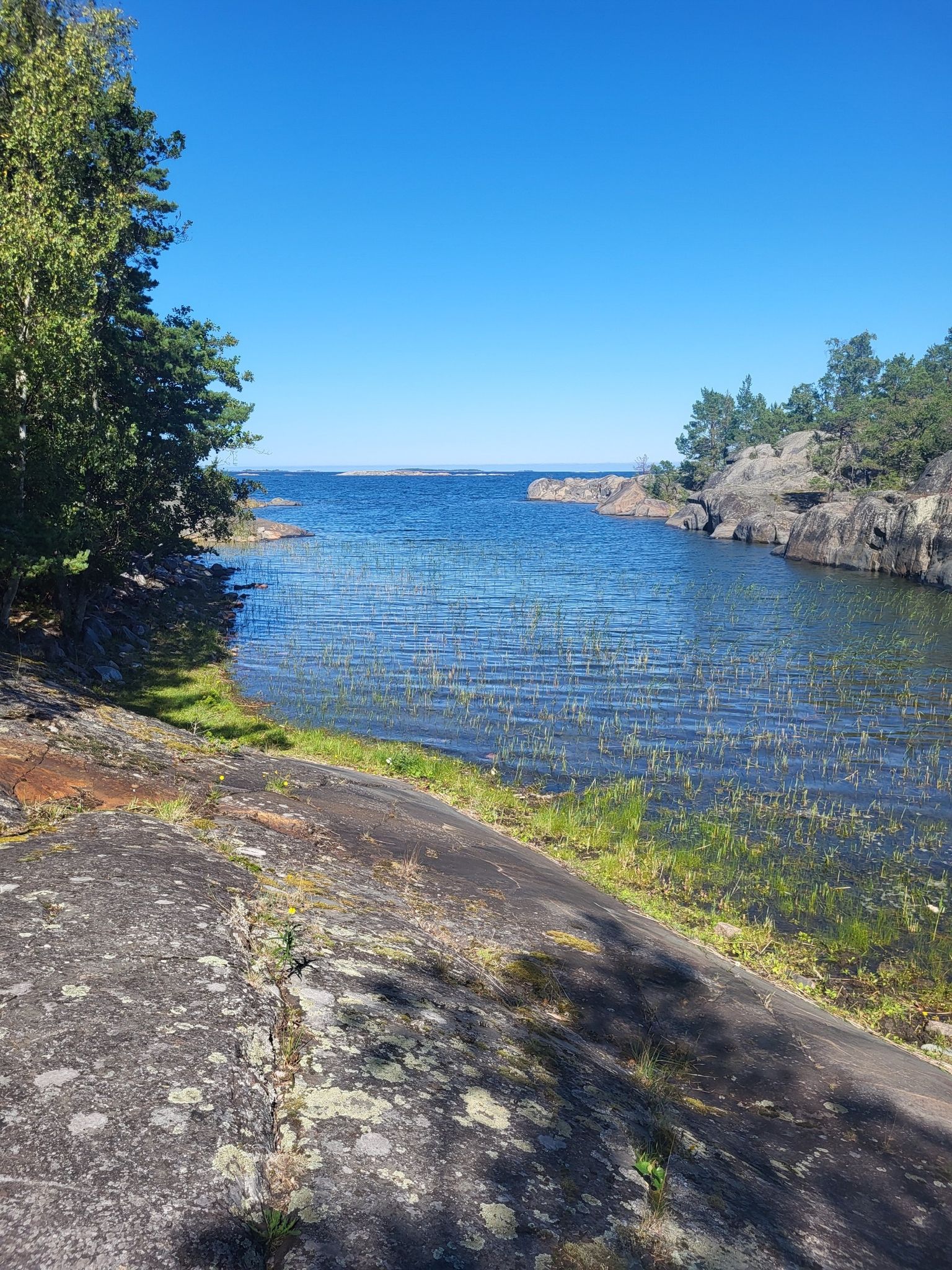 Brahamn