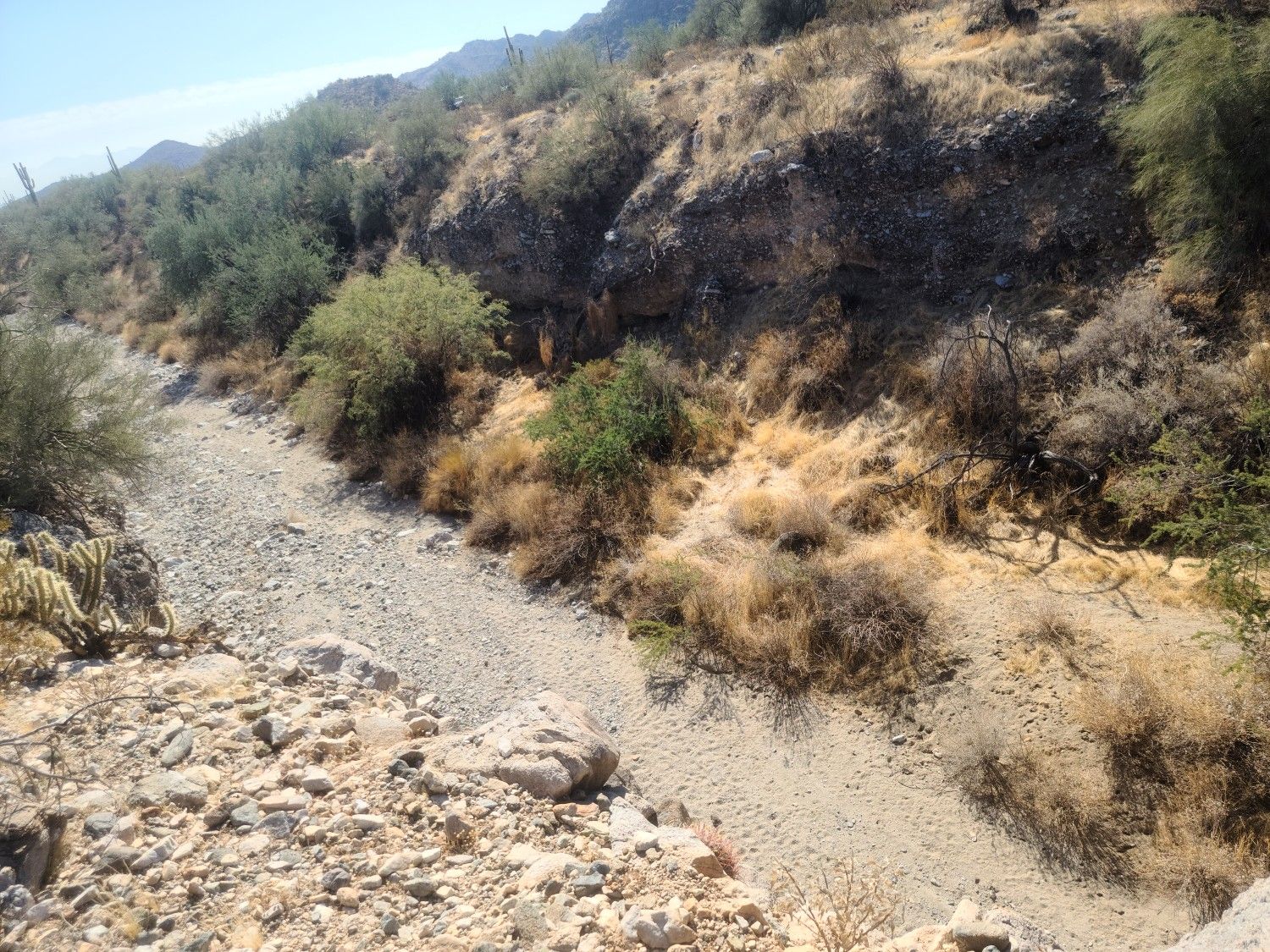 A wide, dry desert wash winds through arid, rocky terrain under sunlight. - Mesquite Canyon Parking – Mesquite Canyon Trail loop from White Tank Library