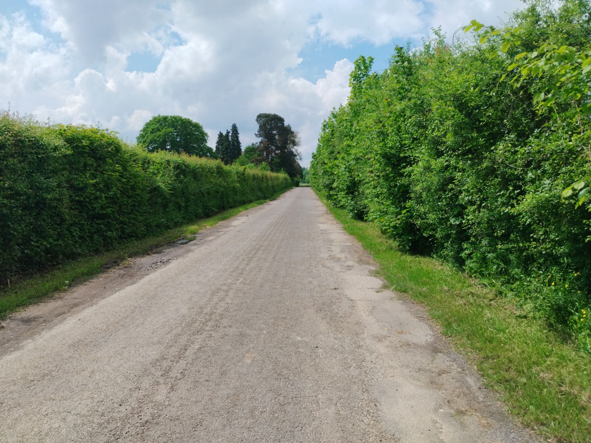Radroute EV3, kleine Straße