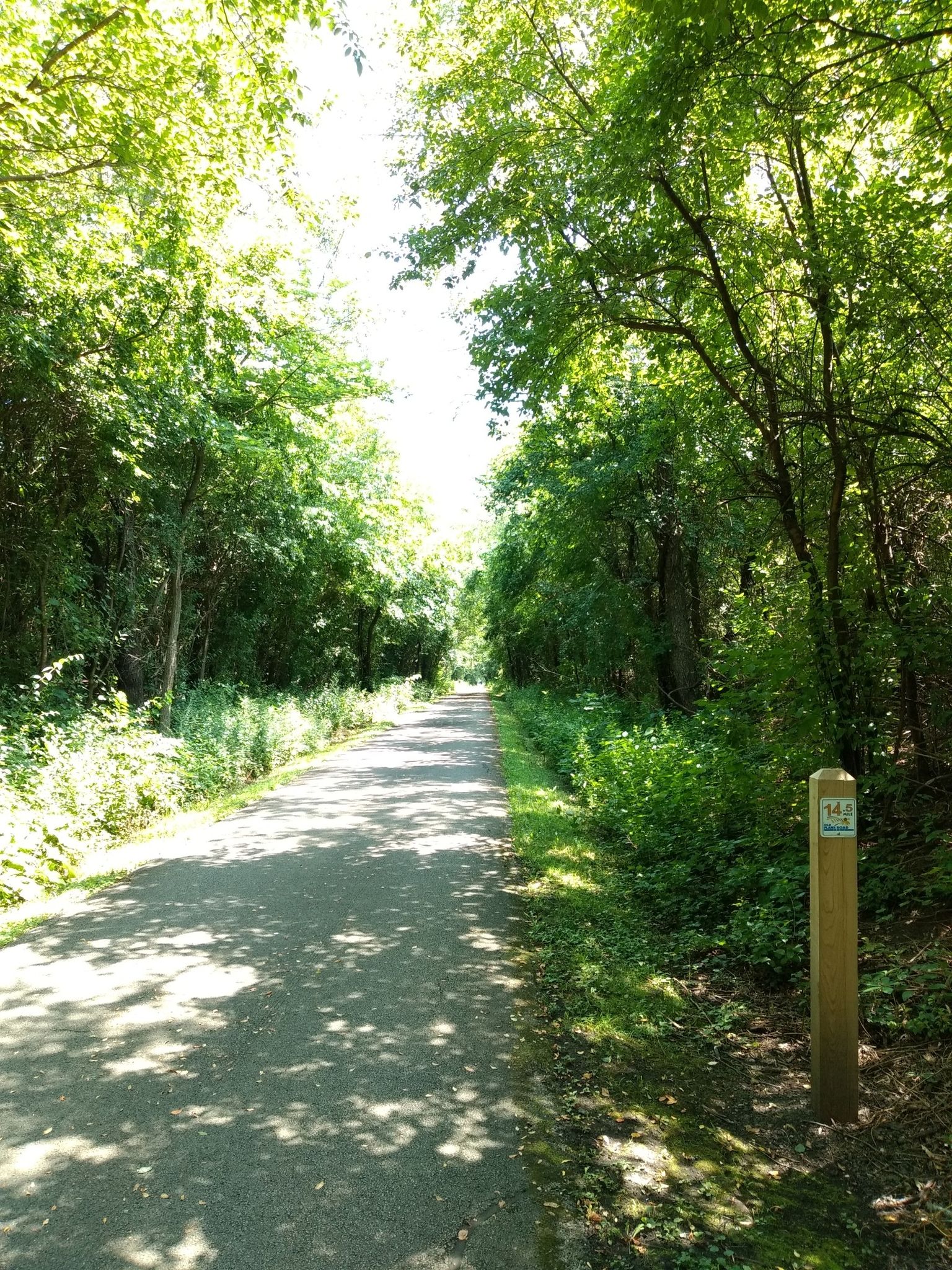 A shaded paved path through a dense green forest with a wooden post. - Old Plank Road Trail – Lions Park loop from Mokena
