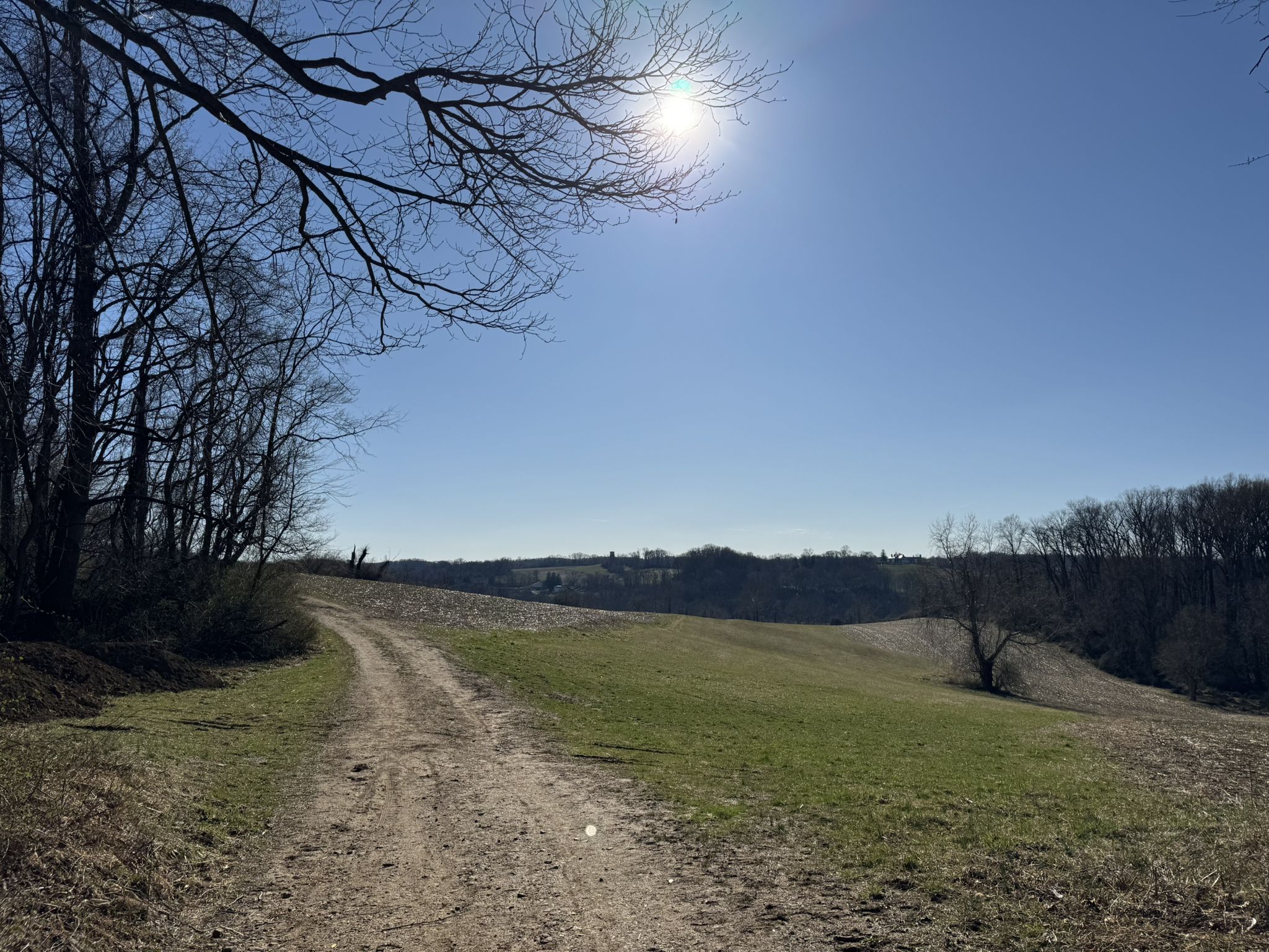 Dirt path curves up a grassy hill with distant trees under a bright sun. - Valley View – Ramsey Farm loop from First State National Historical Park