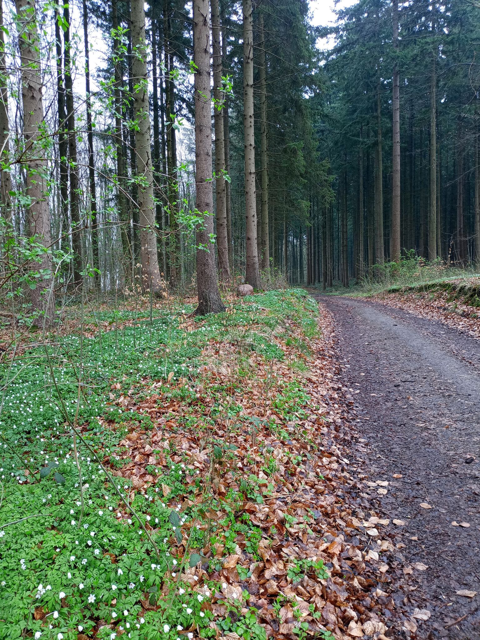 Los geht's - hinein in die Kühlung.