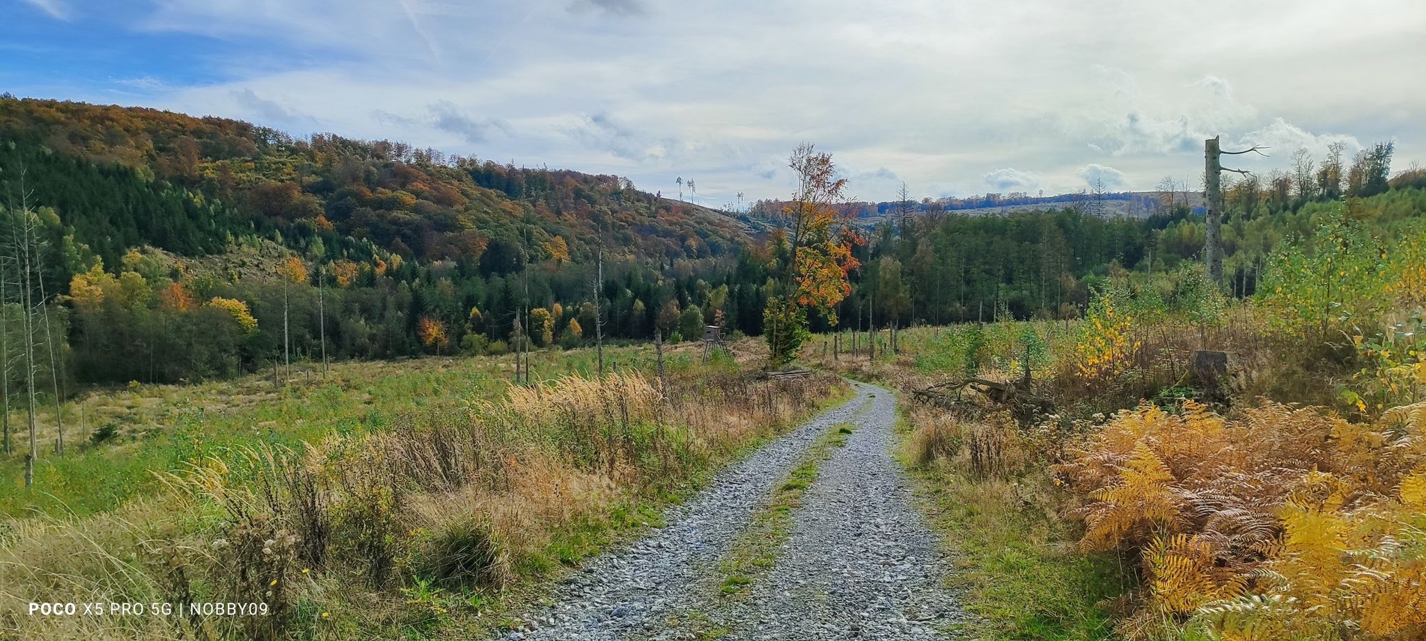 Blick ins mittlere Lörmecketal