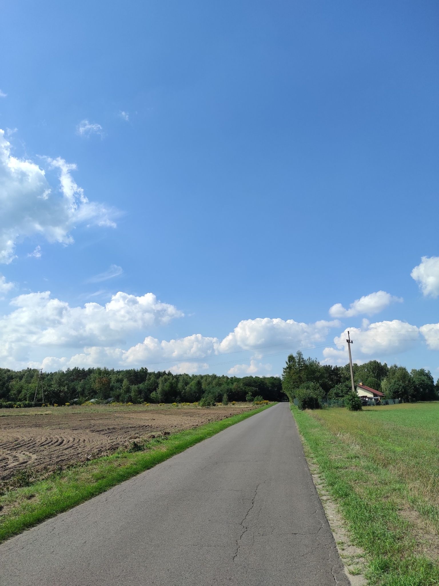 nice view