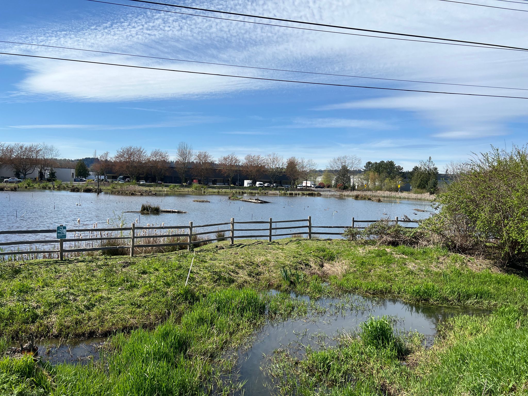 A pond and grassy wetland area with a wooden fence under a blue sky. - Green River and Interurban Trail Loop