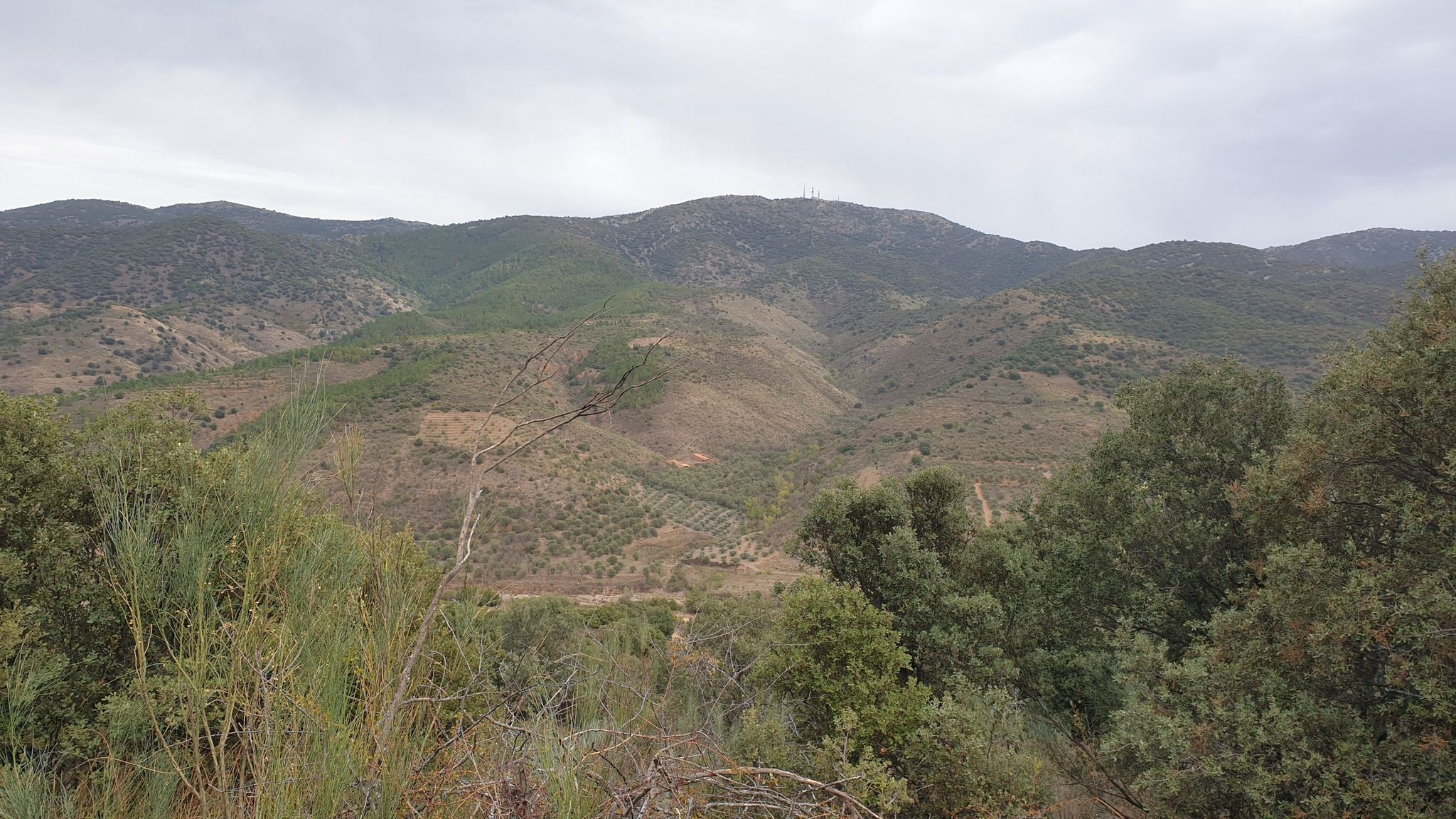 Antenas Valdemadera