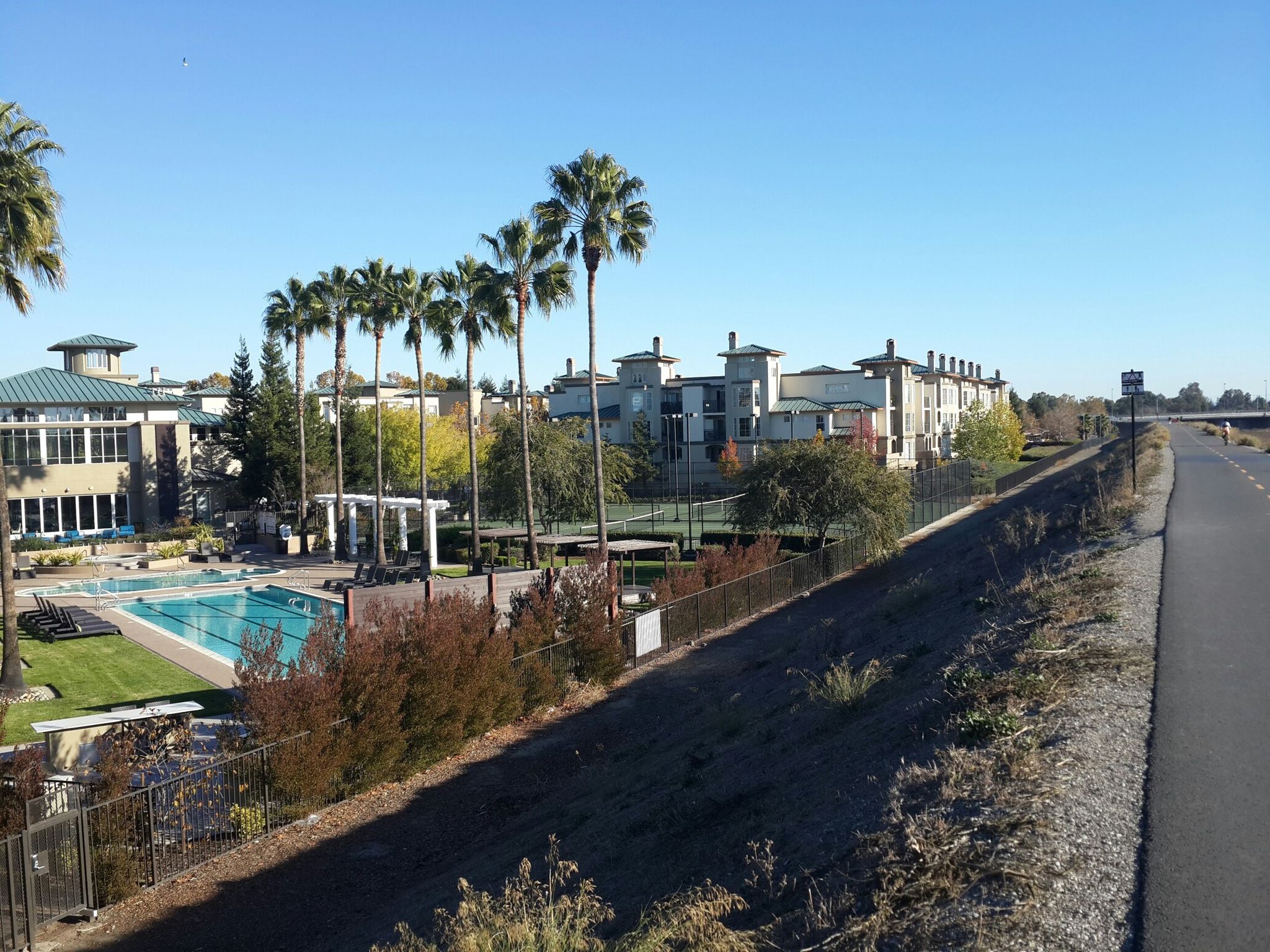 Sunny view of apartment buildings, a pool, and palm trees beside a road. - New Chicago Marsh – Alviso Marina County Park loop from Intel Museum