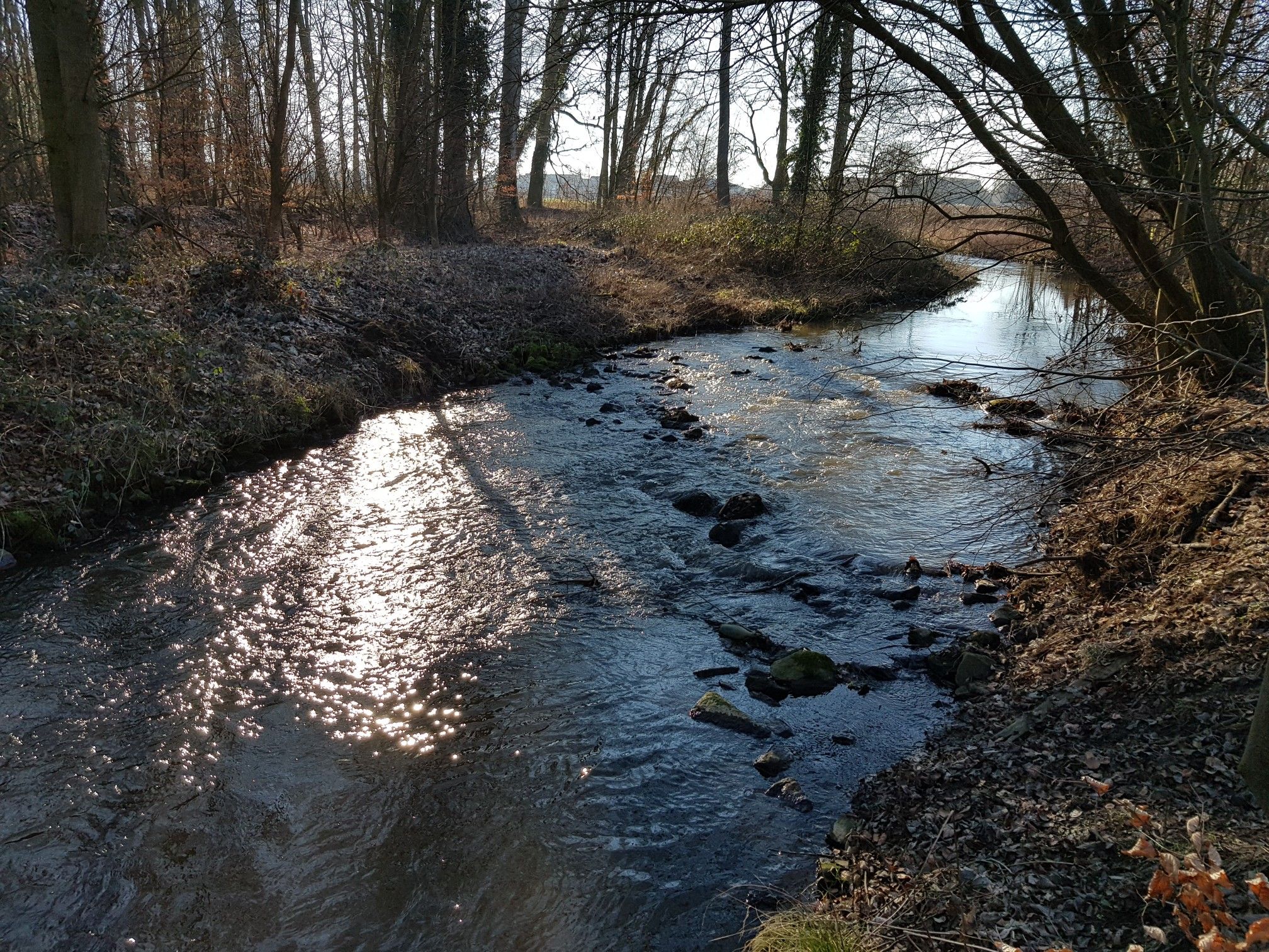 Idyll am Bach