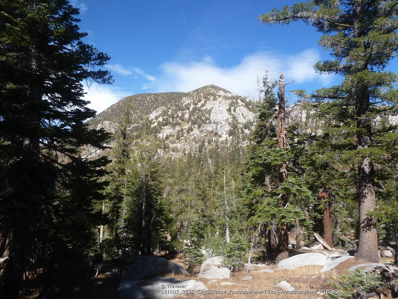 A rocky mountain peak rises above a dense pine forest under blue sky. - Armstrong Pass – Freel Peak loop from Hope Valley Wildlife Area