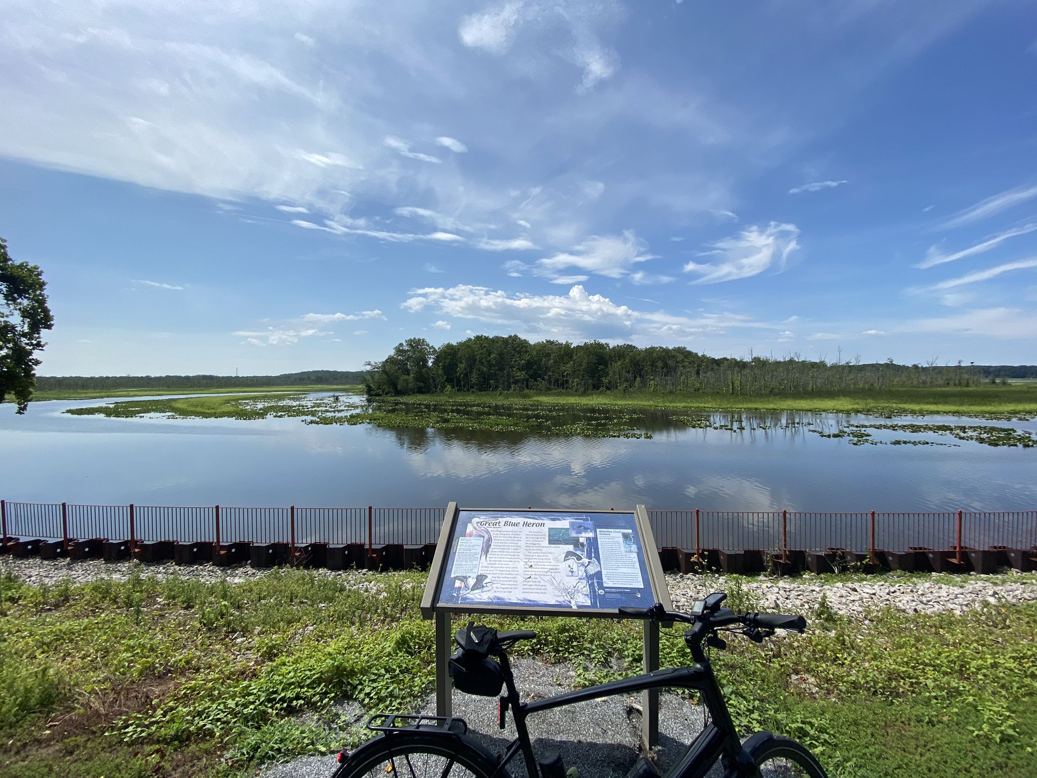 Bicycle and interpretive sign overlooking a wide, calm wetland under blue sky. - Indian Head Rail Trail and Myrtle Grove Loop
