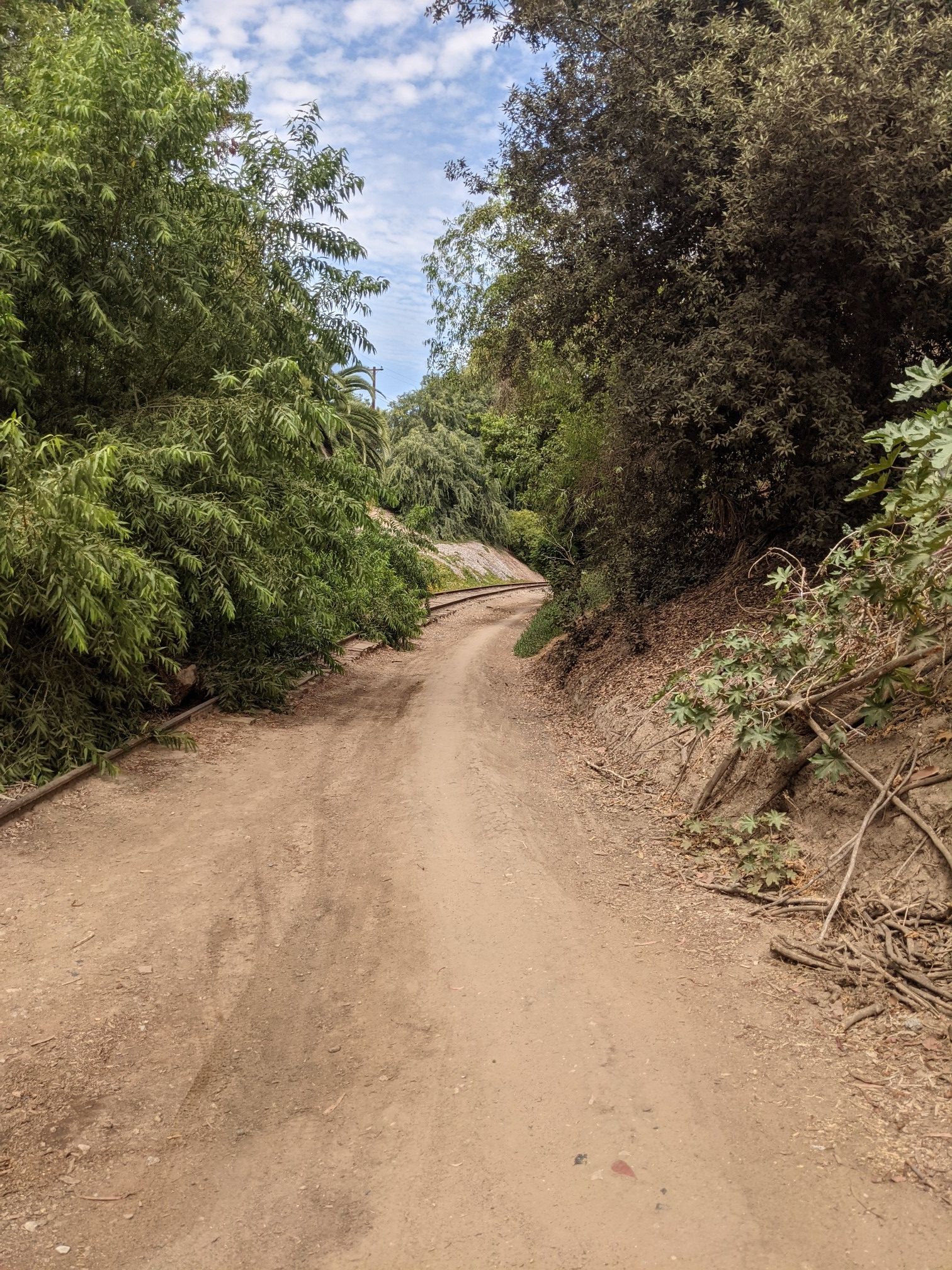 A winding dirt path through dense green trees under a cloudy sky. - Laguna Lake – Laguna Lake loop from Sunny Hills High School