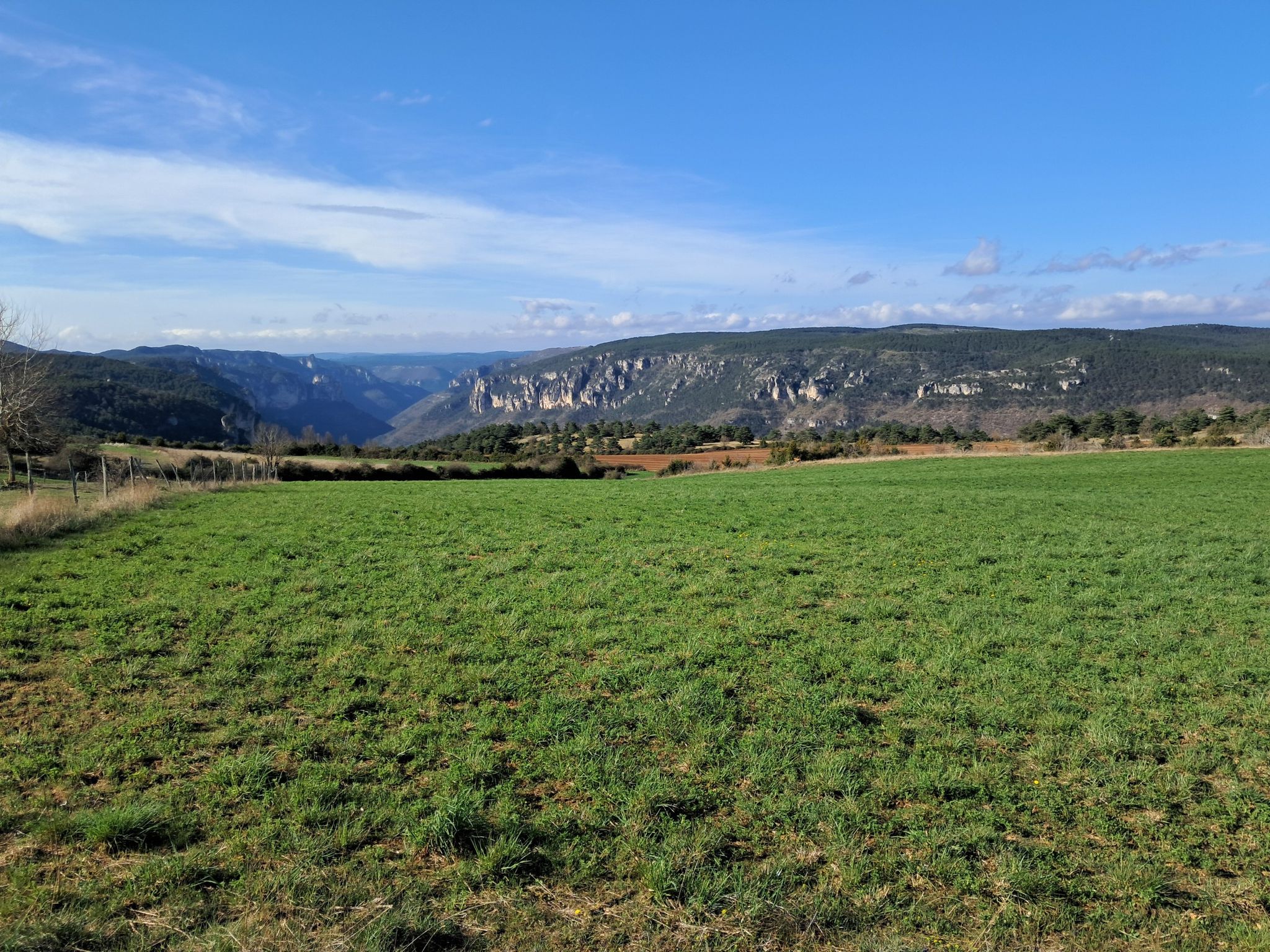 Sur les Gorges du Tarn