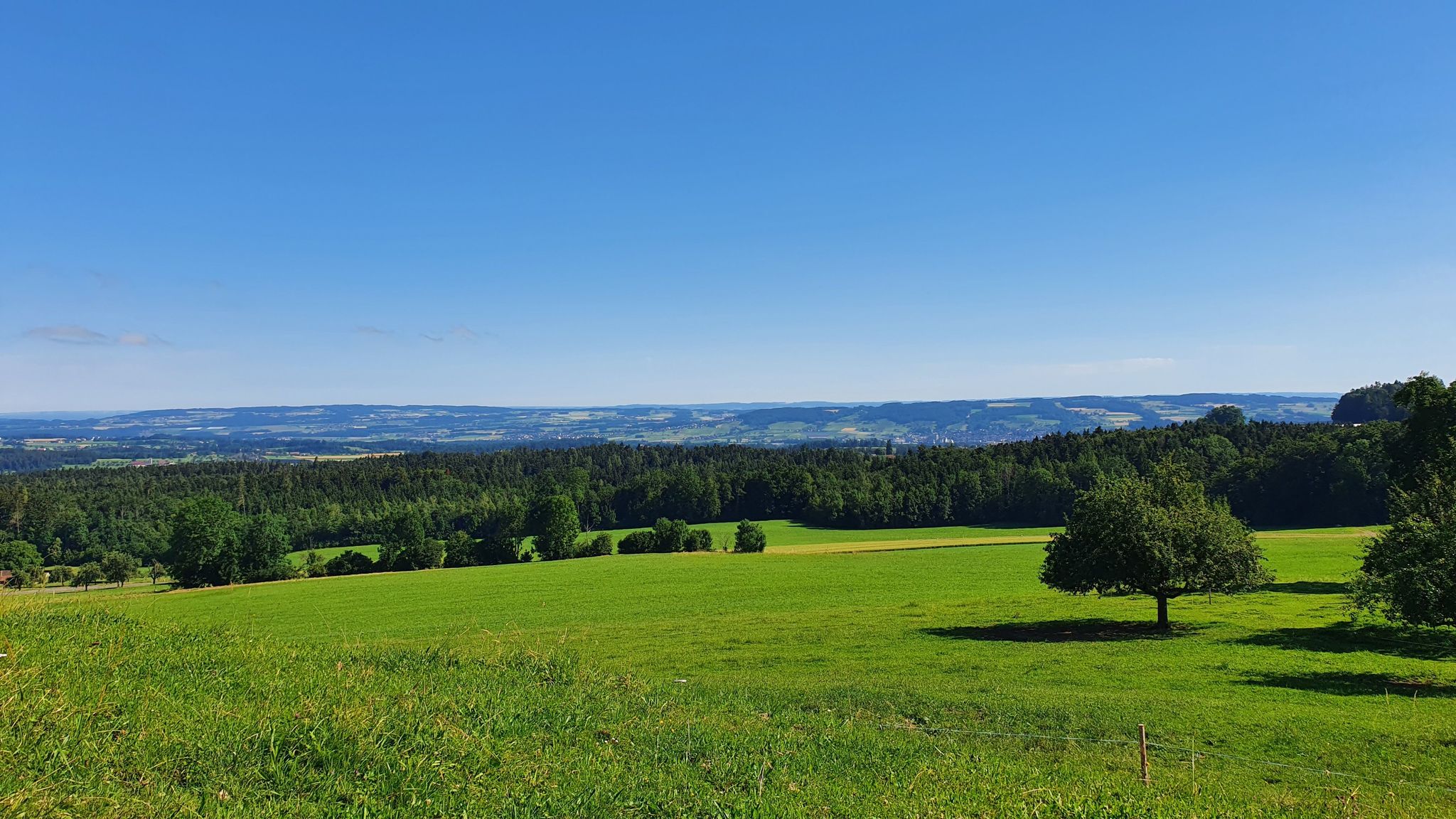 Seerücken und Ottenberg