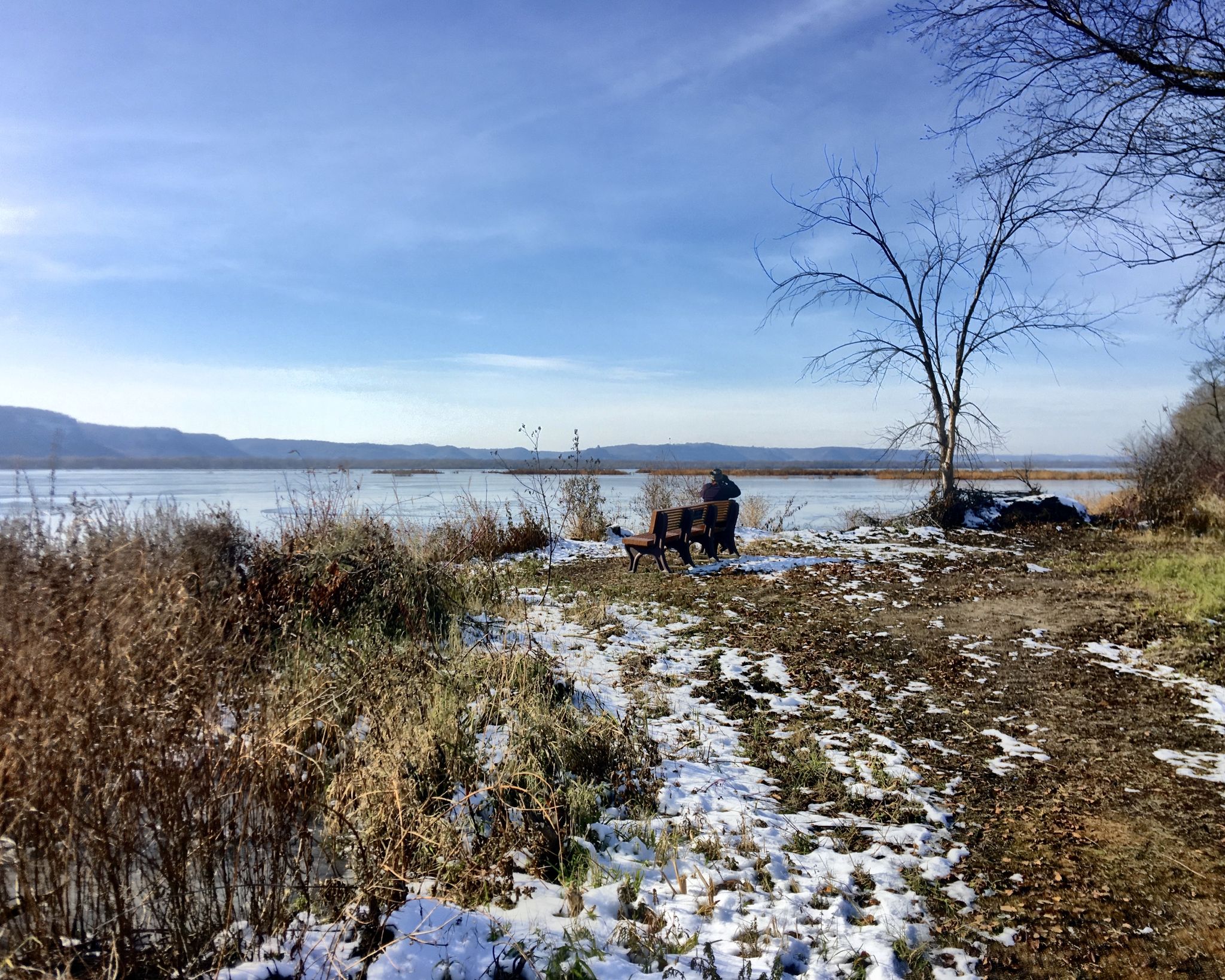Person and dog on a bench overlooking a frozen lake on a sunny day. - Pine Creek Dike and Woods Trail Loop