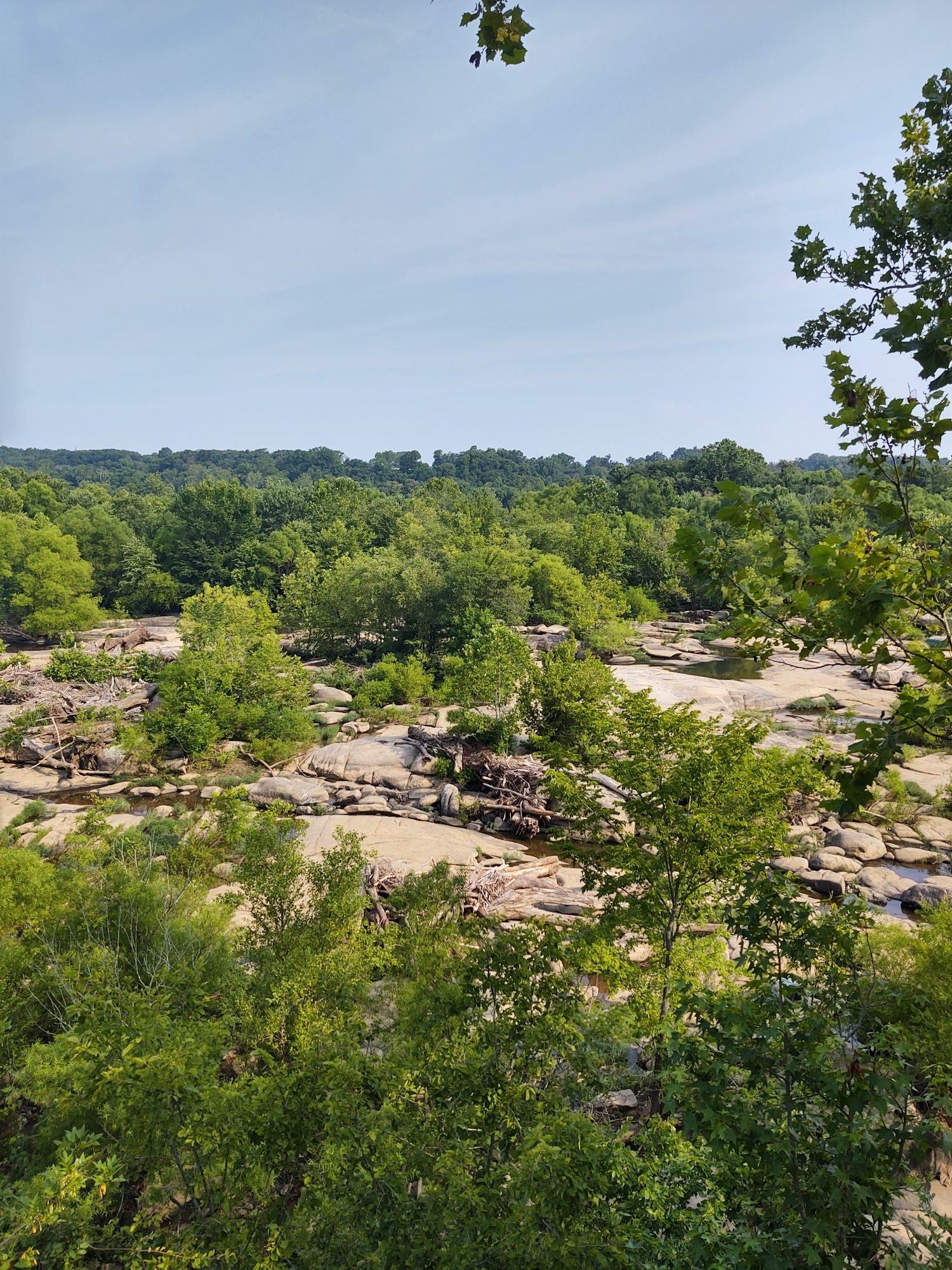 Panoramic view of a wide, rocky riverbed surrounded by lush green forests. - Buttermilk Trail Loop