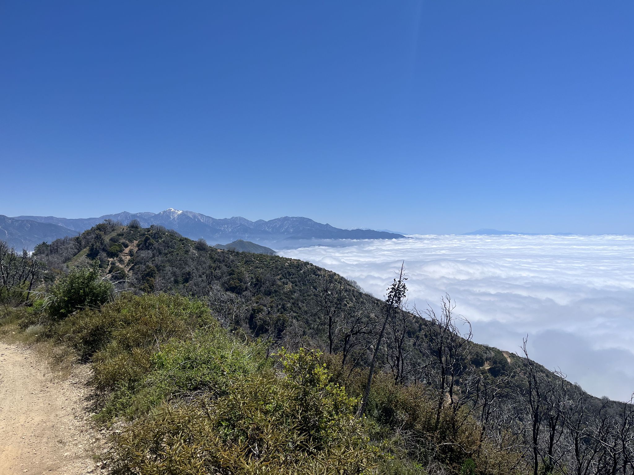 Mountain ridge above a sea of clouds under a clear blue sky. - Mt. Wilson Enduro Loop