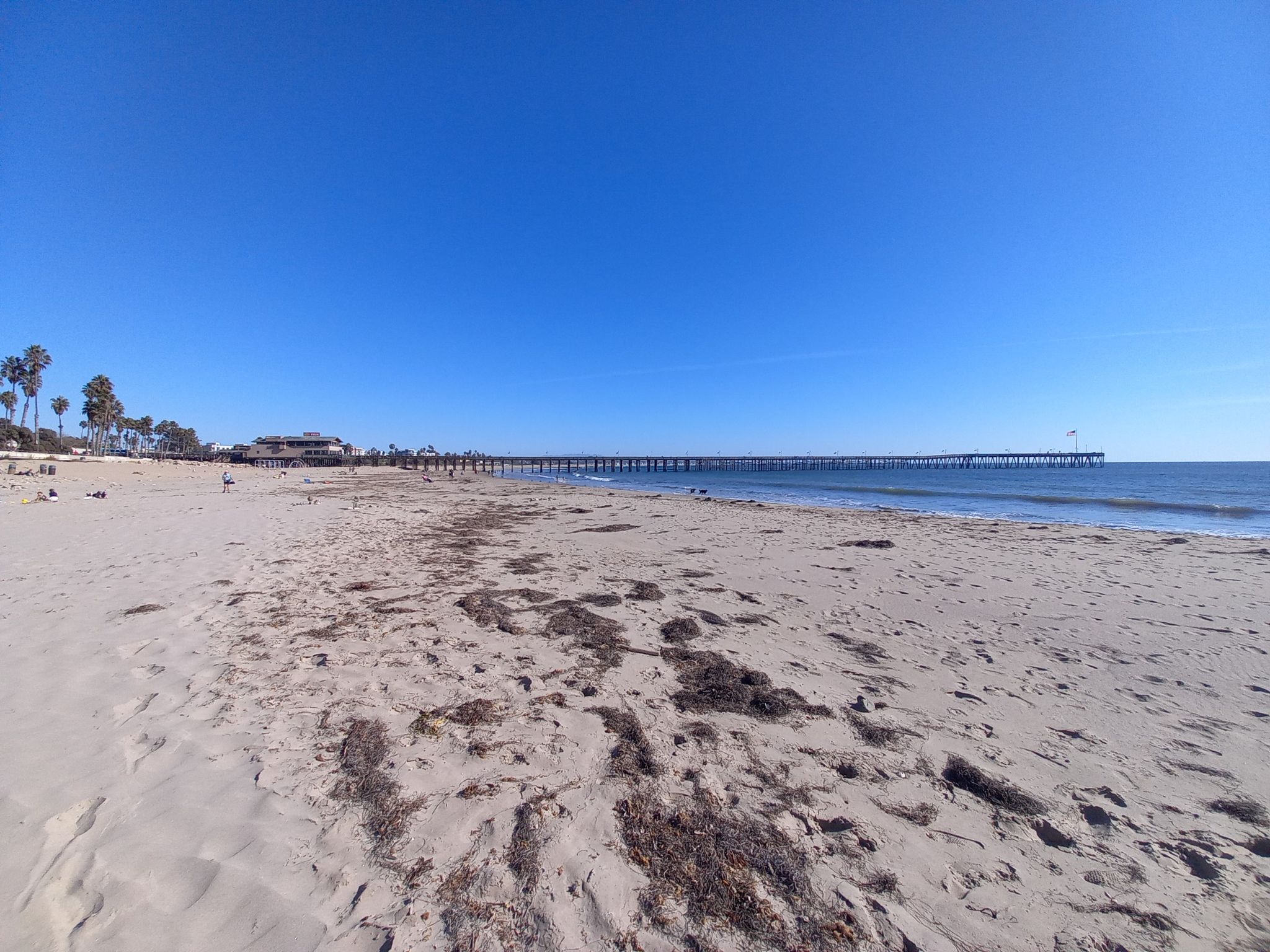 Wide sandy beach with ocean waves and a long pier under a clear blue sky. - Ventura Pier – Ventura Pier loop from Ventura