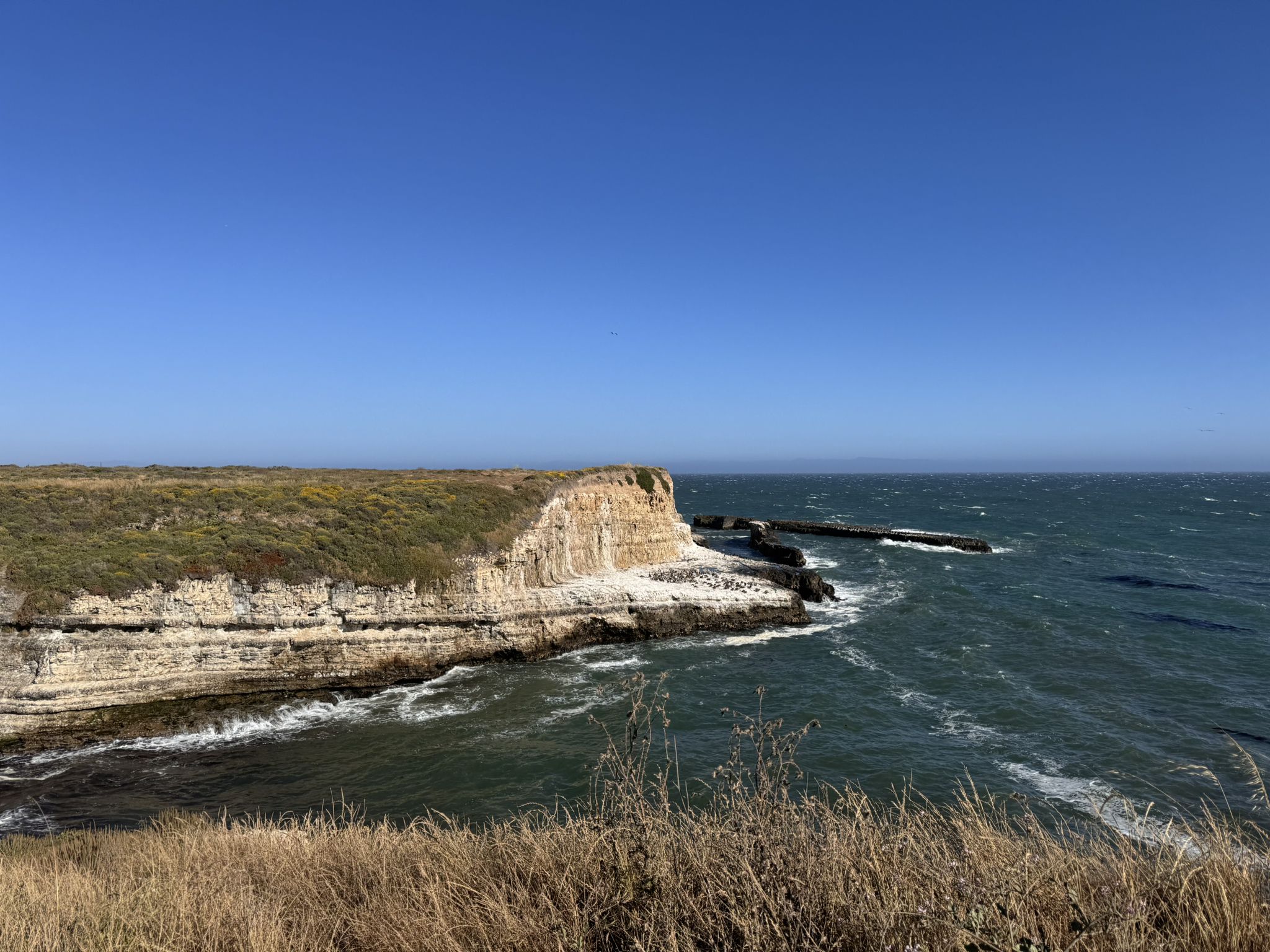 Expansive ocean view with distant cliffs and a clear blue sky. - Wilder Dairy Cultural Preserve – Natural Bridges State Beach loop from Beach Station (Santa Cruz)
